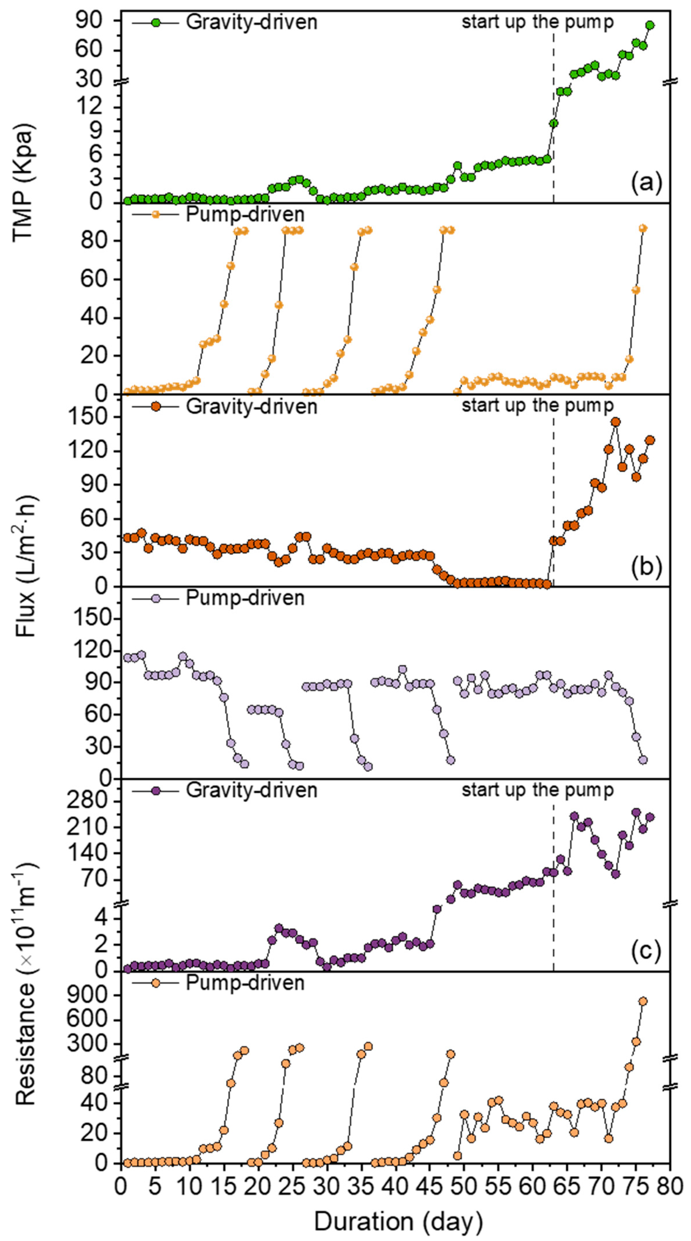 Water 17 02799 g004 Water 17 02799 g004