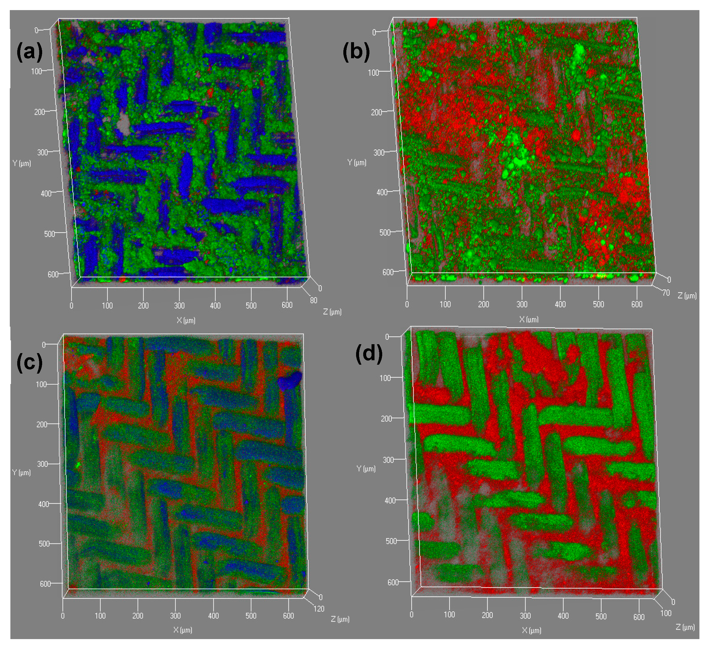 Water 17 02799 g006 Water 17 02799 g006