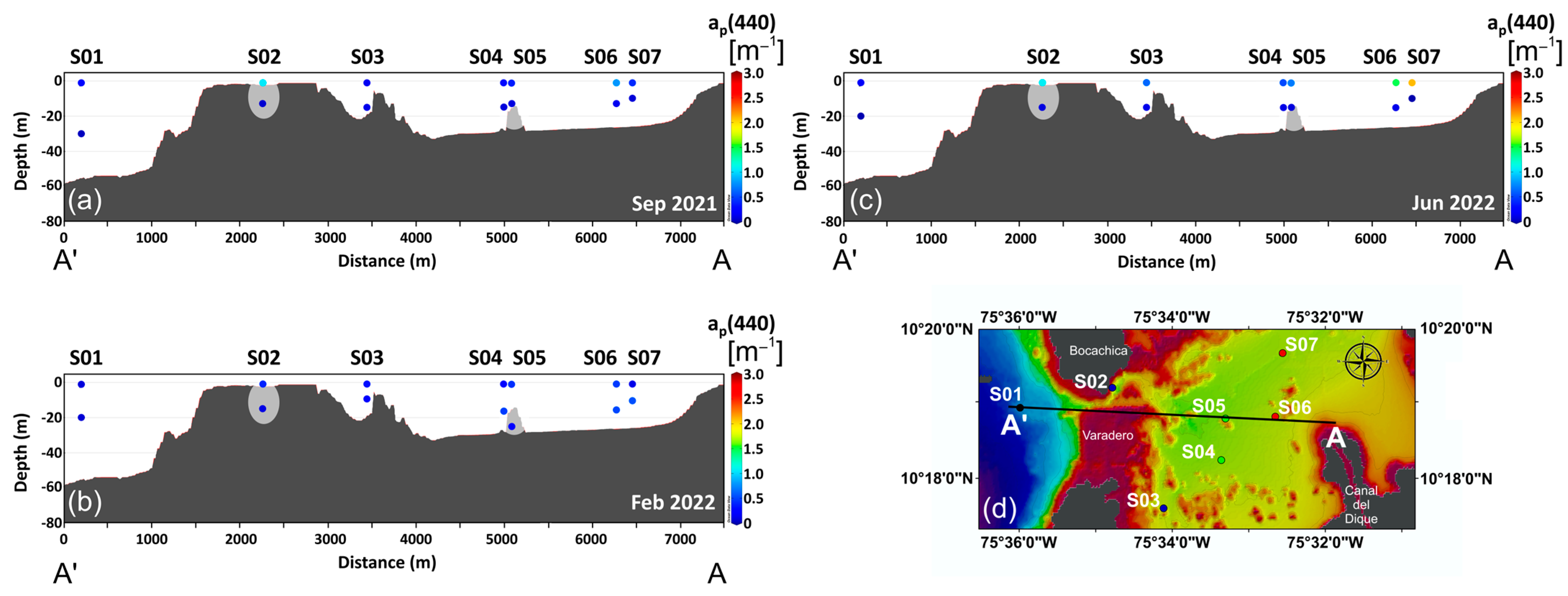 Water 17 02820 g005 Water 17 02820 g005