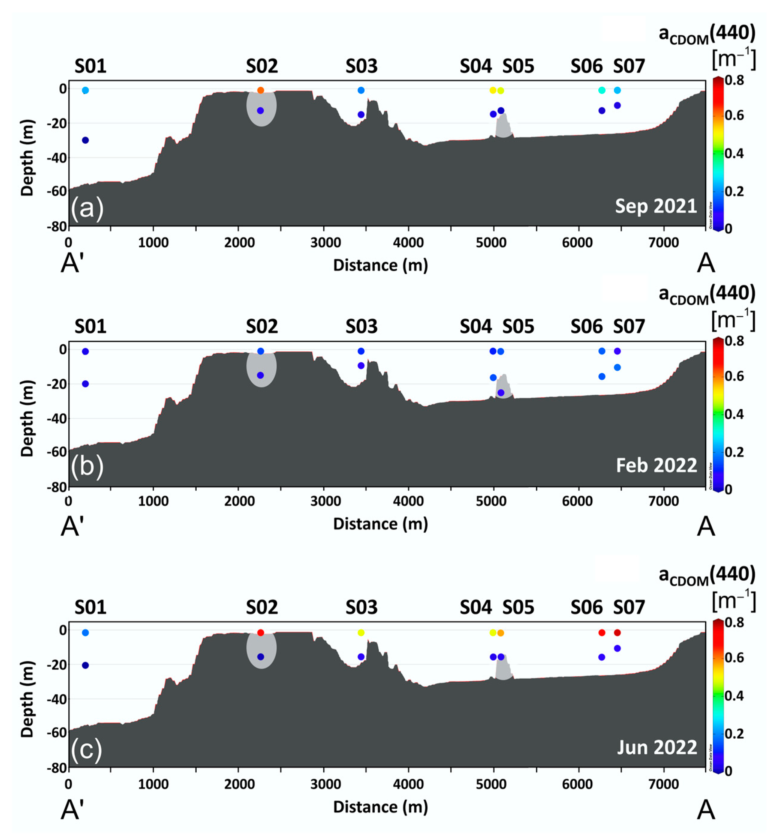 Water 17 02820 g006 Water 17 02820 g006