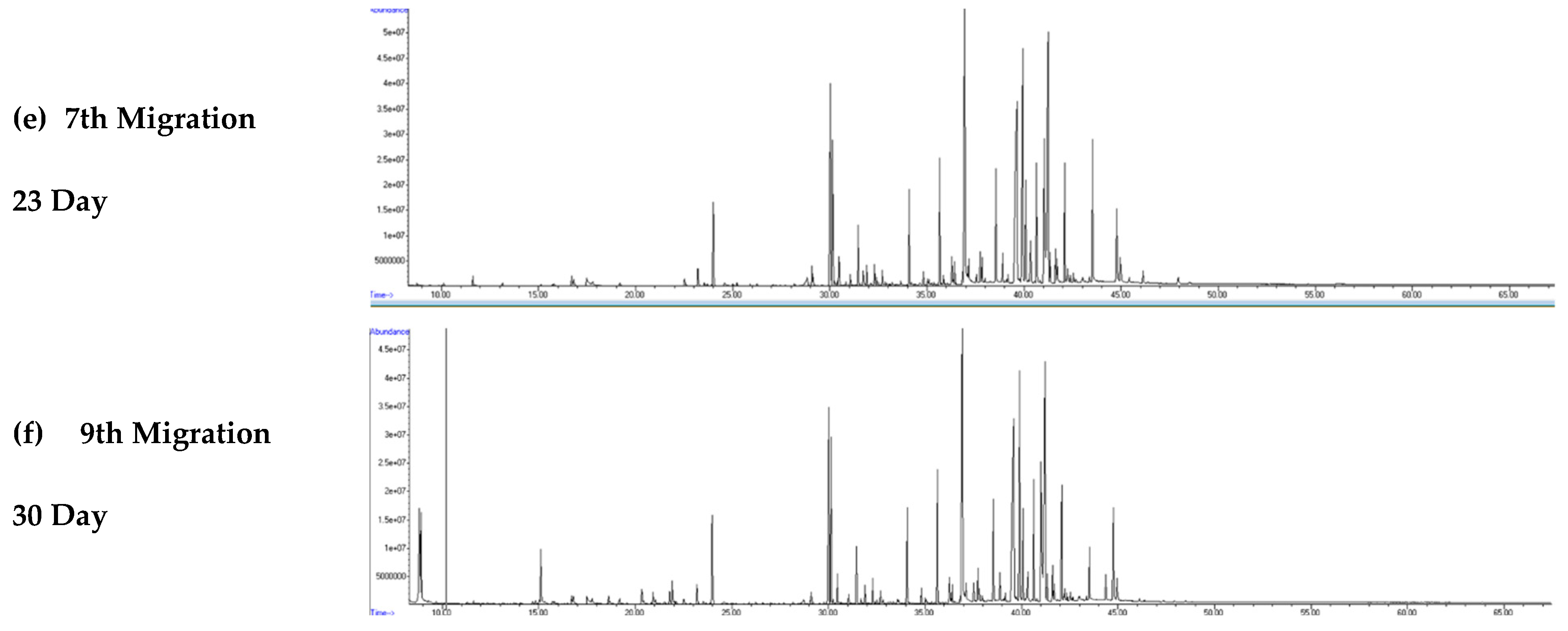 Water 17 02864 g004b