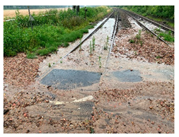 Water 17 02874 i029 Water 17 02874 i029