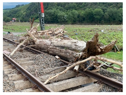 Water 17 02874 i034 Water 17 02874 i034