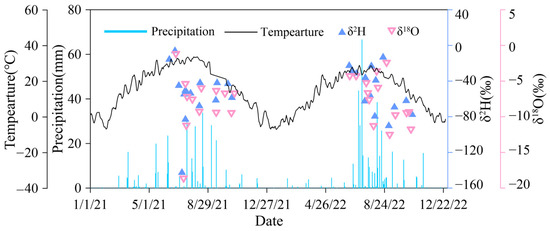 The Differences in Water Consumption Between Pinus and Salix in