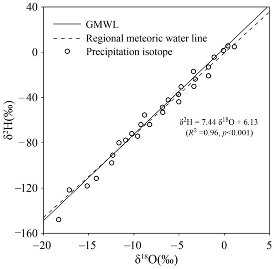 The Differences in Water Consumption Between Pinus and Salix in
