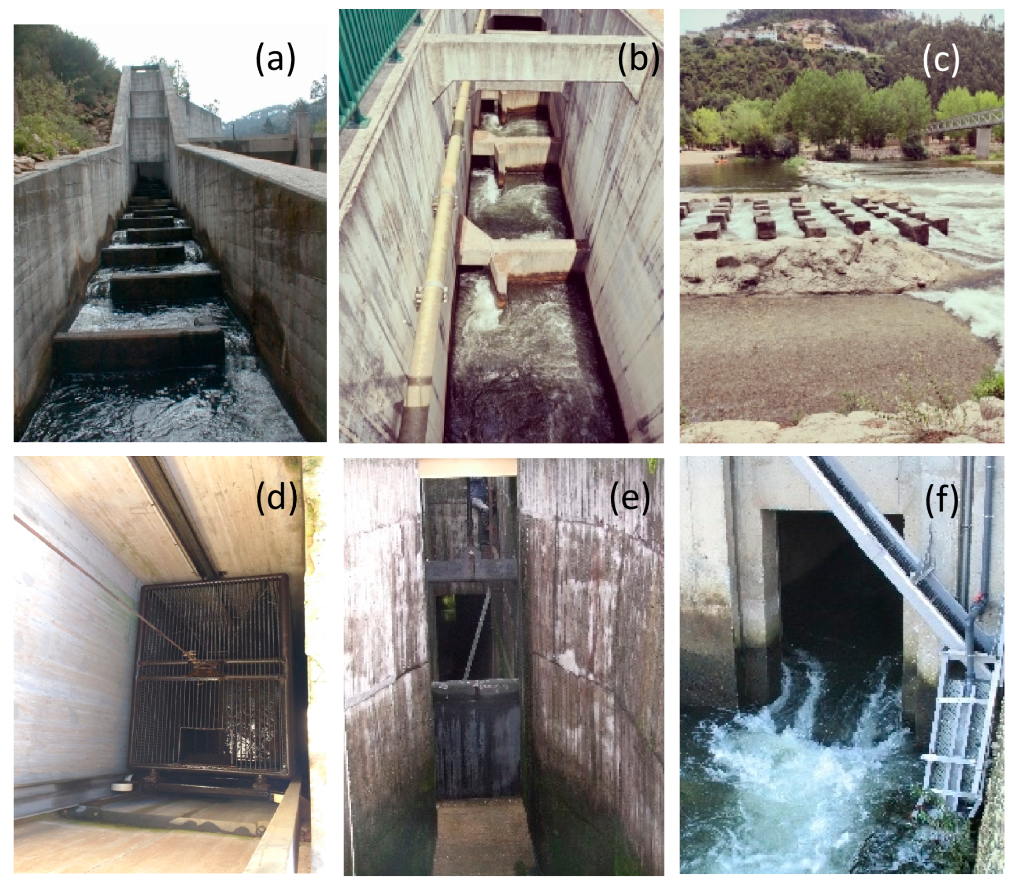 Water 17 02898 g001 Water 17 02898 g001