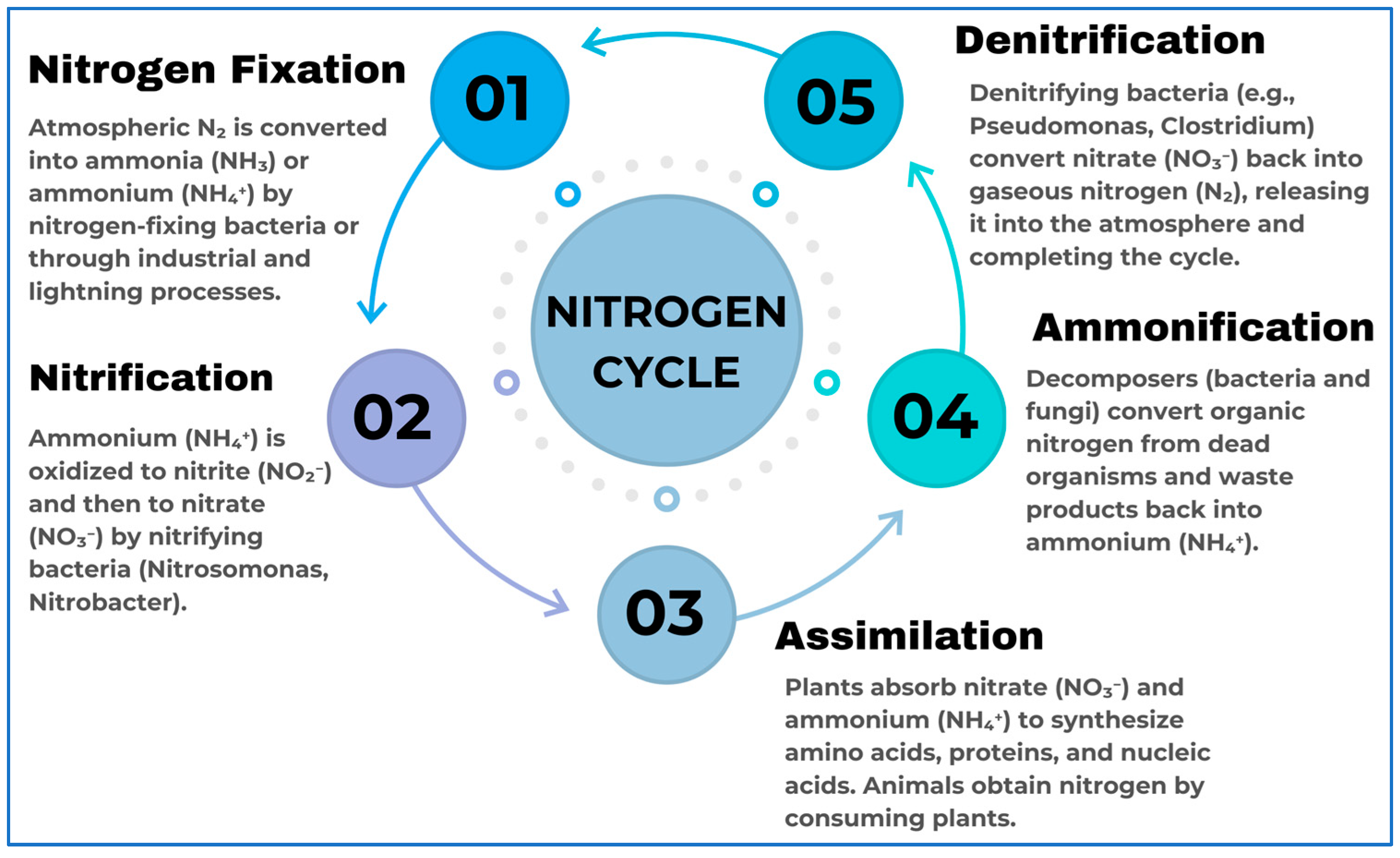Water 17 02947 g003 Water 17 02947 g003
