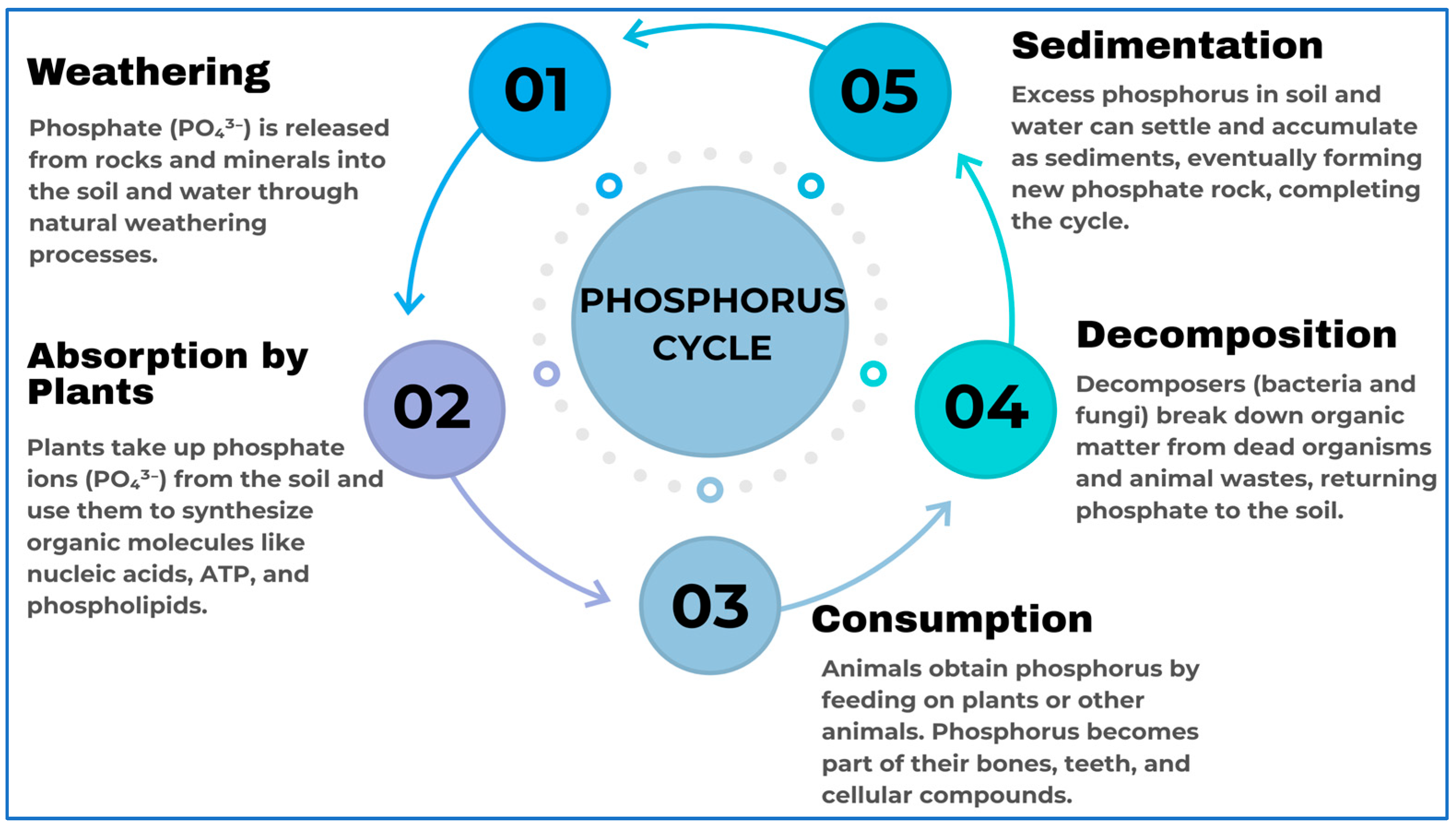 Water 17 02947 g004 Water 17 02947 g004