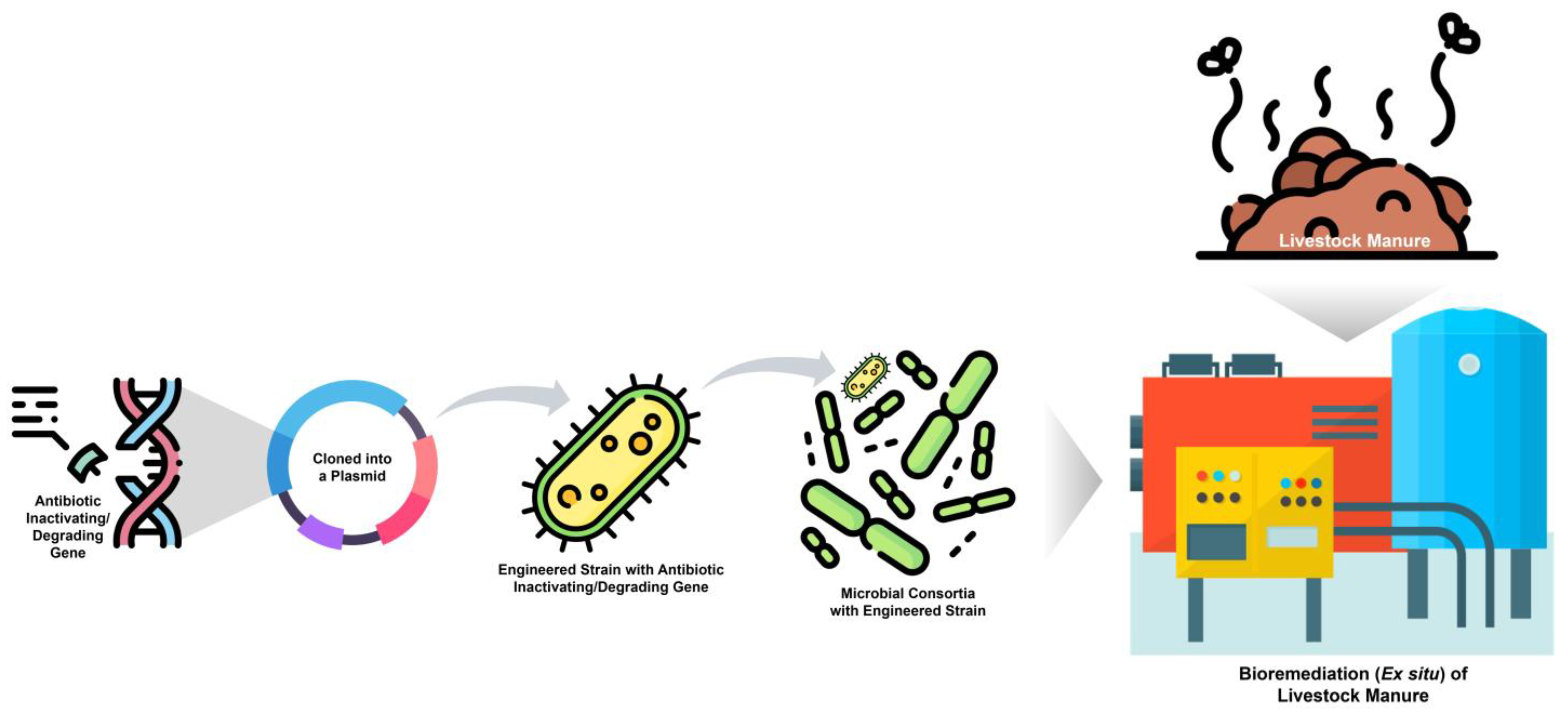 Water 17 02960 g003 Water 17 02960 g003