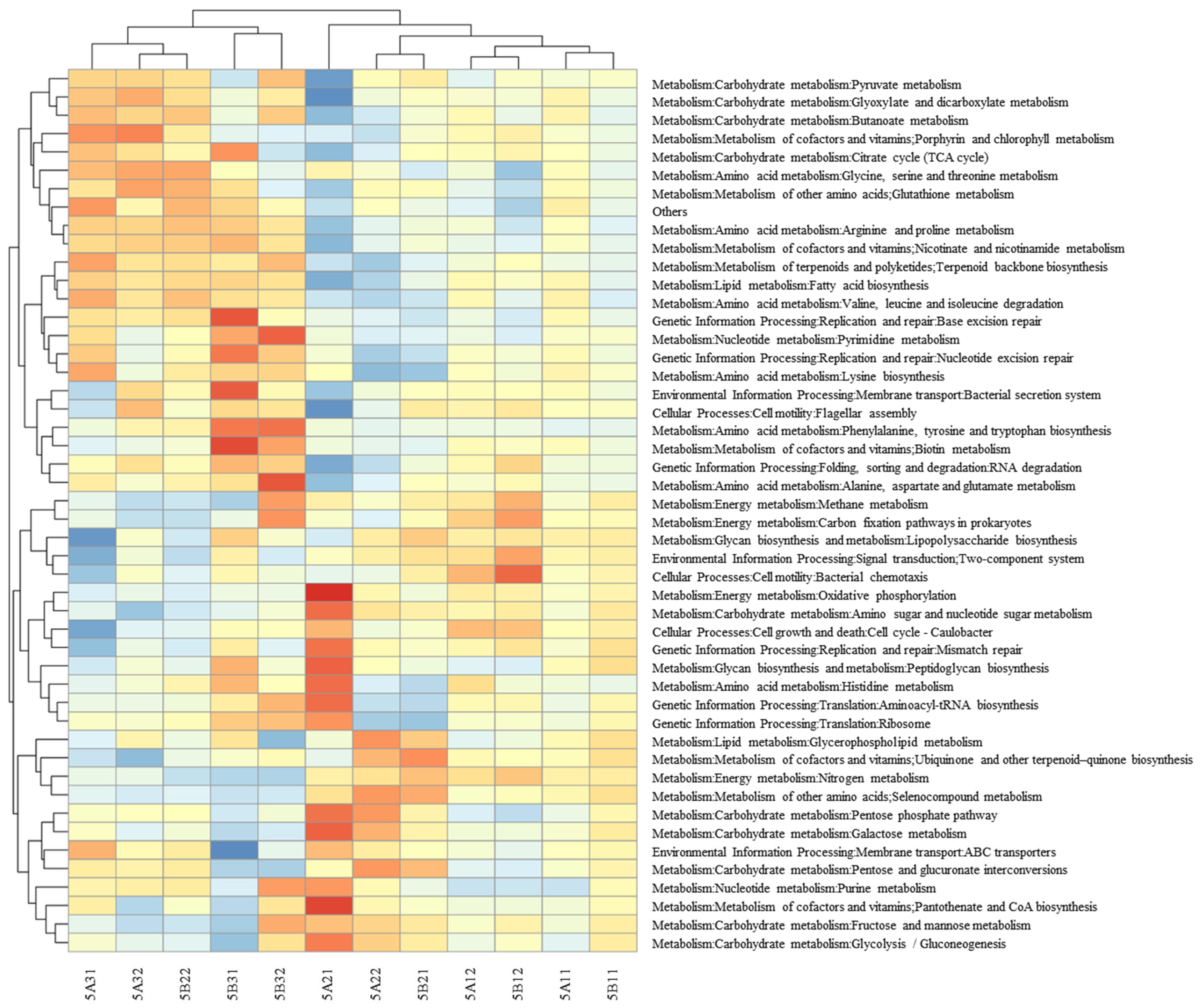 Water 17 02969 g0a5 Water 17 02969 g0a5