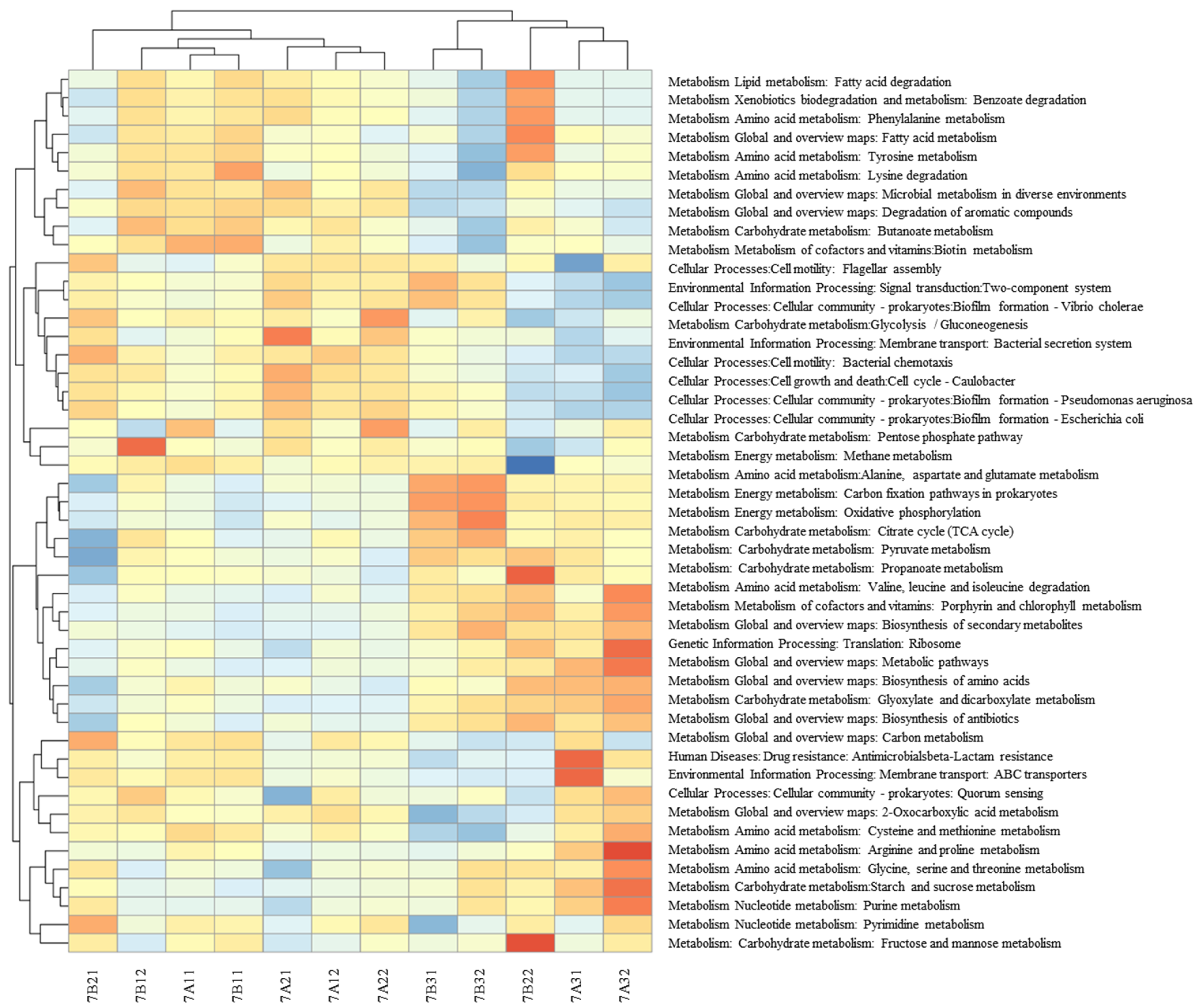 Water 17 02969 g0a6 Water 17 02969 g0a6