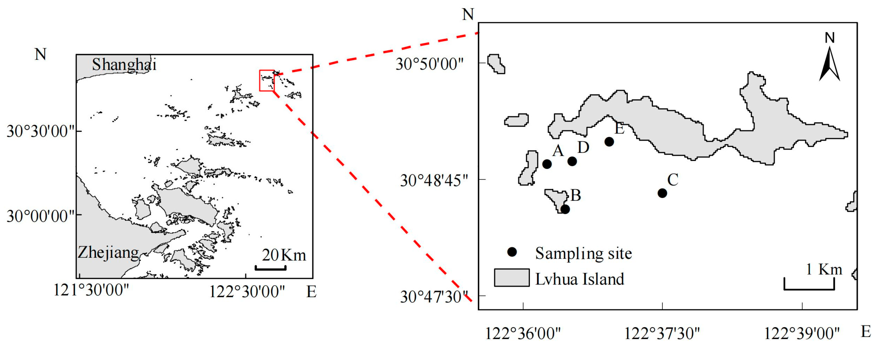 Water 17 02970 g001 Water 17 02970 g001