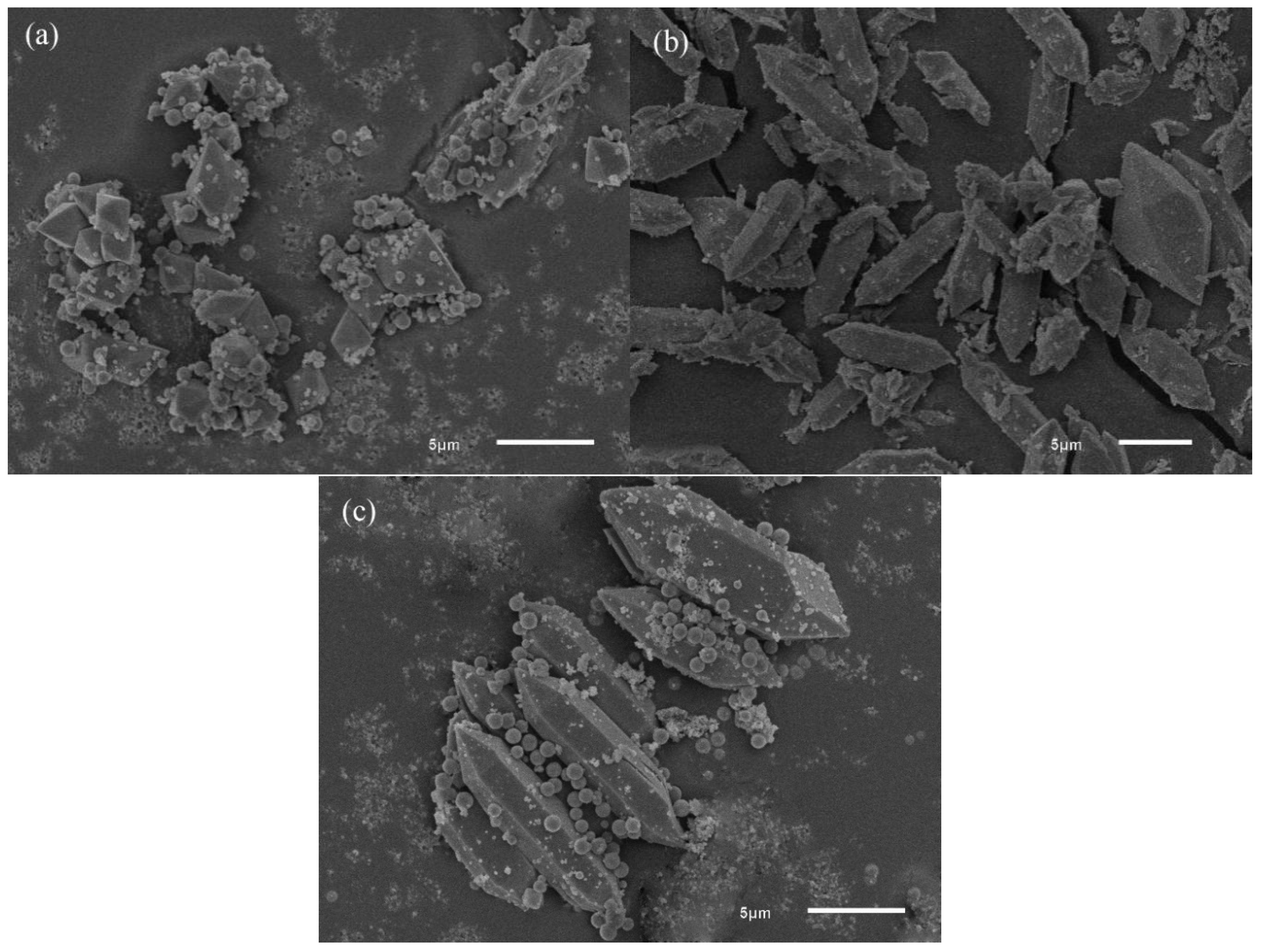 Water 17 02980 g001 Water 17 02980 g001