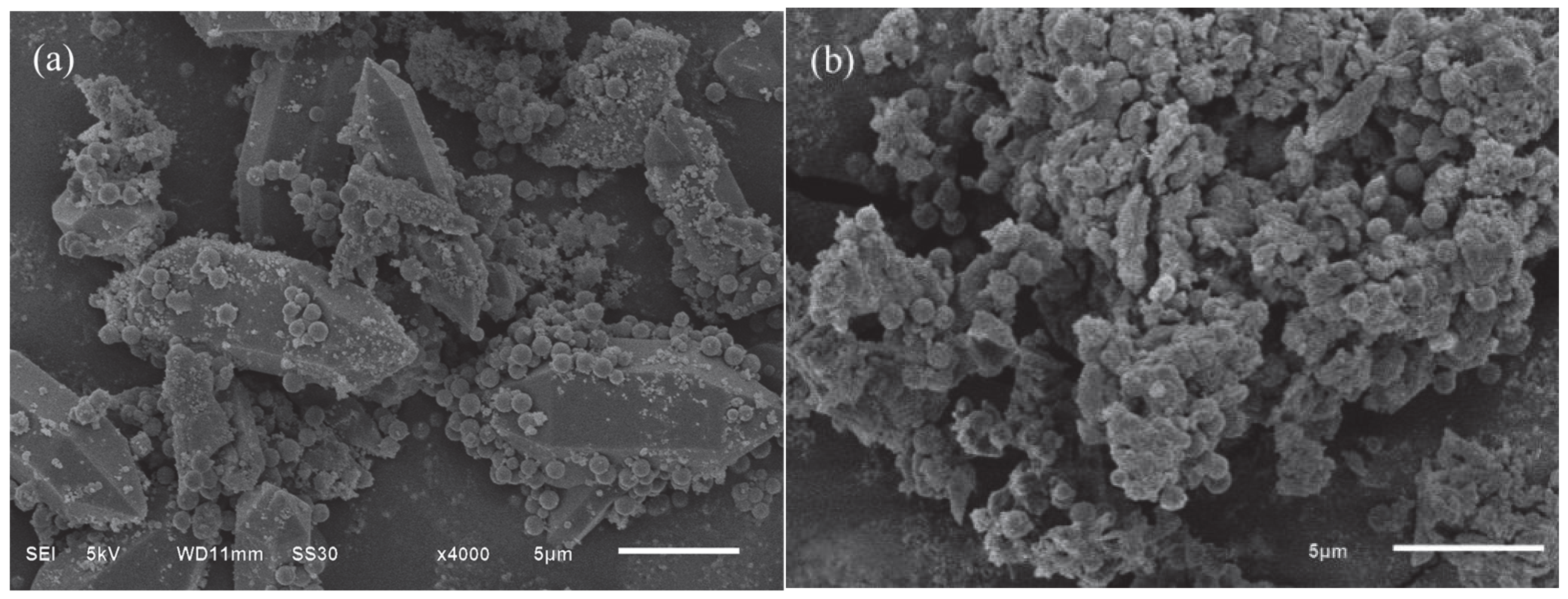 Water 17 02980 g014 Water 17 02980 g014