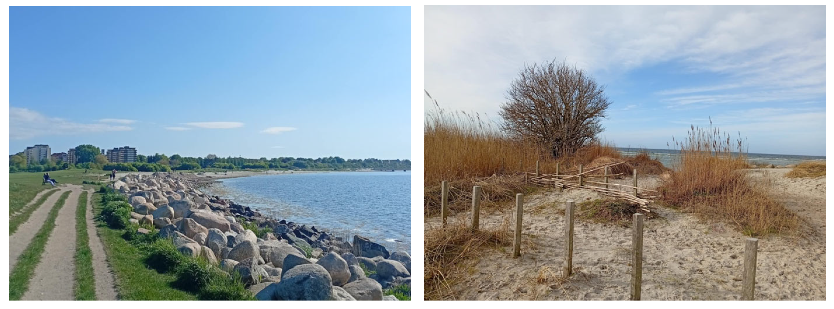 Water 17 03027 g001 Water 17 03027 g001