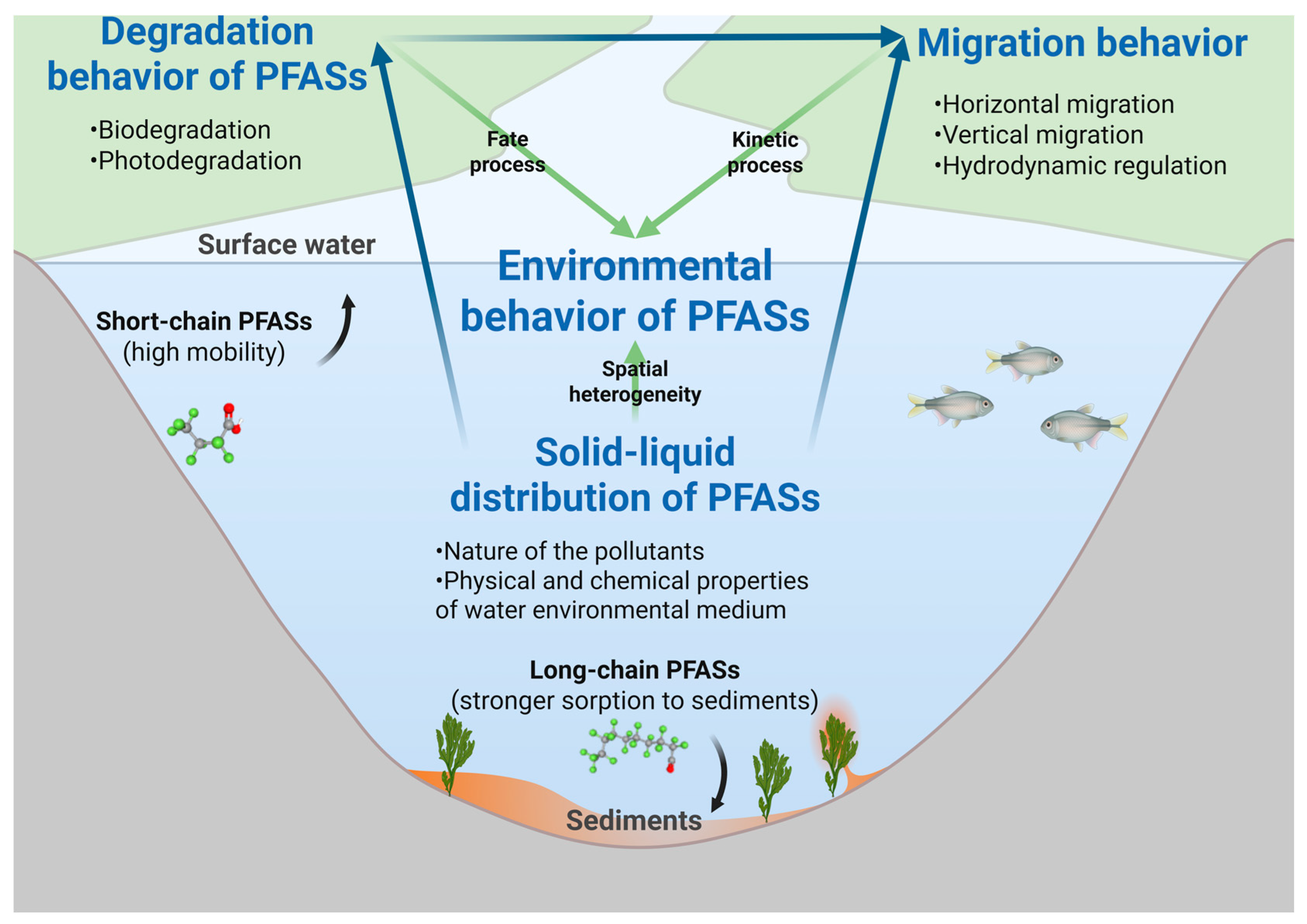 Water 17 03061 g004 Water 17 03061 g004