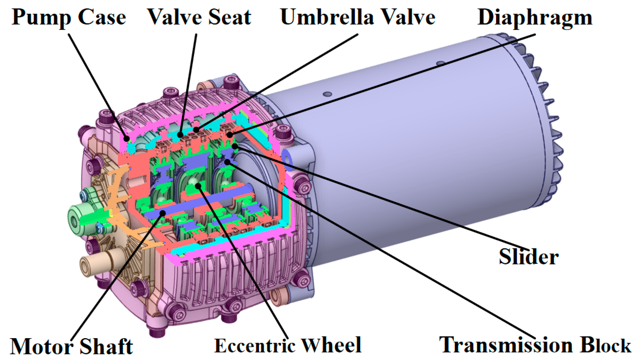 Water 17 03094 g001 Water 17 03094 g001