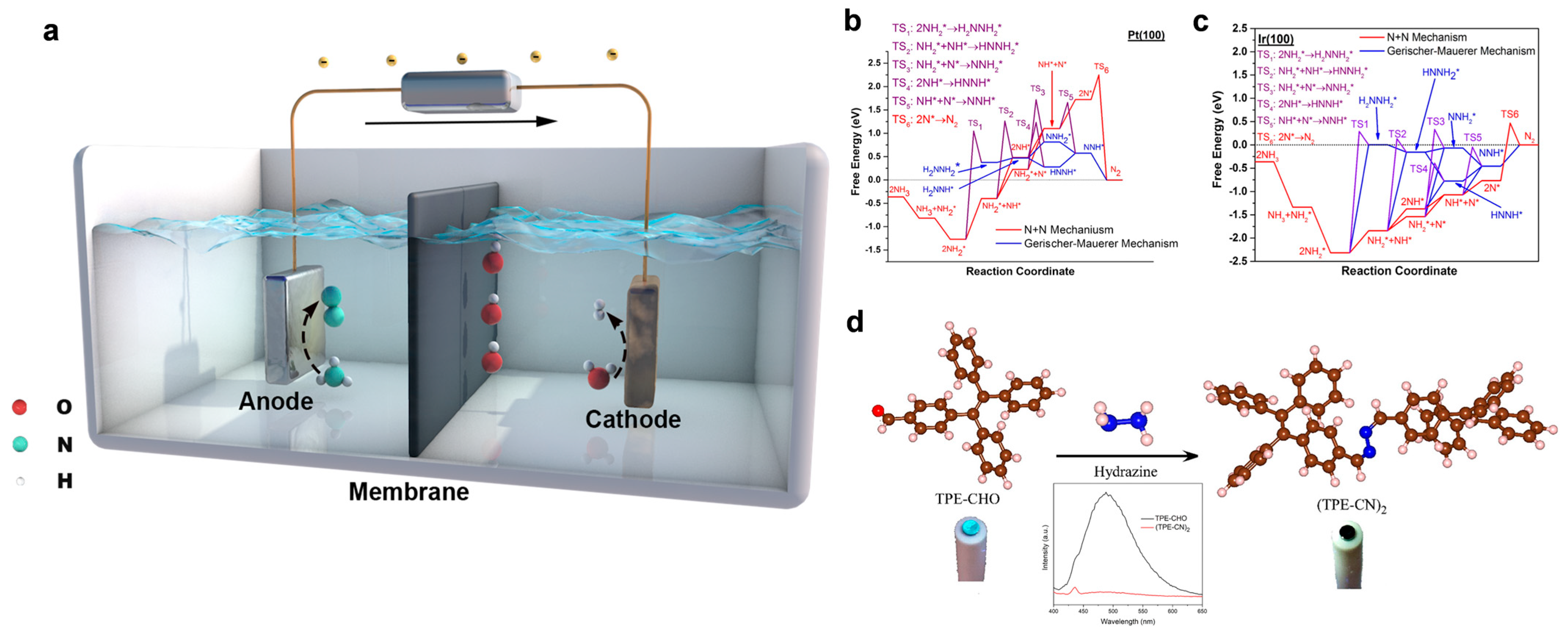 Water 17 03106 g001 Water 17 03106 g001