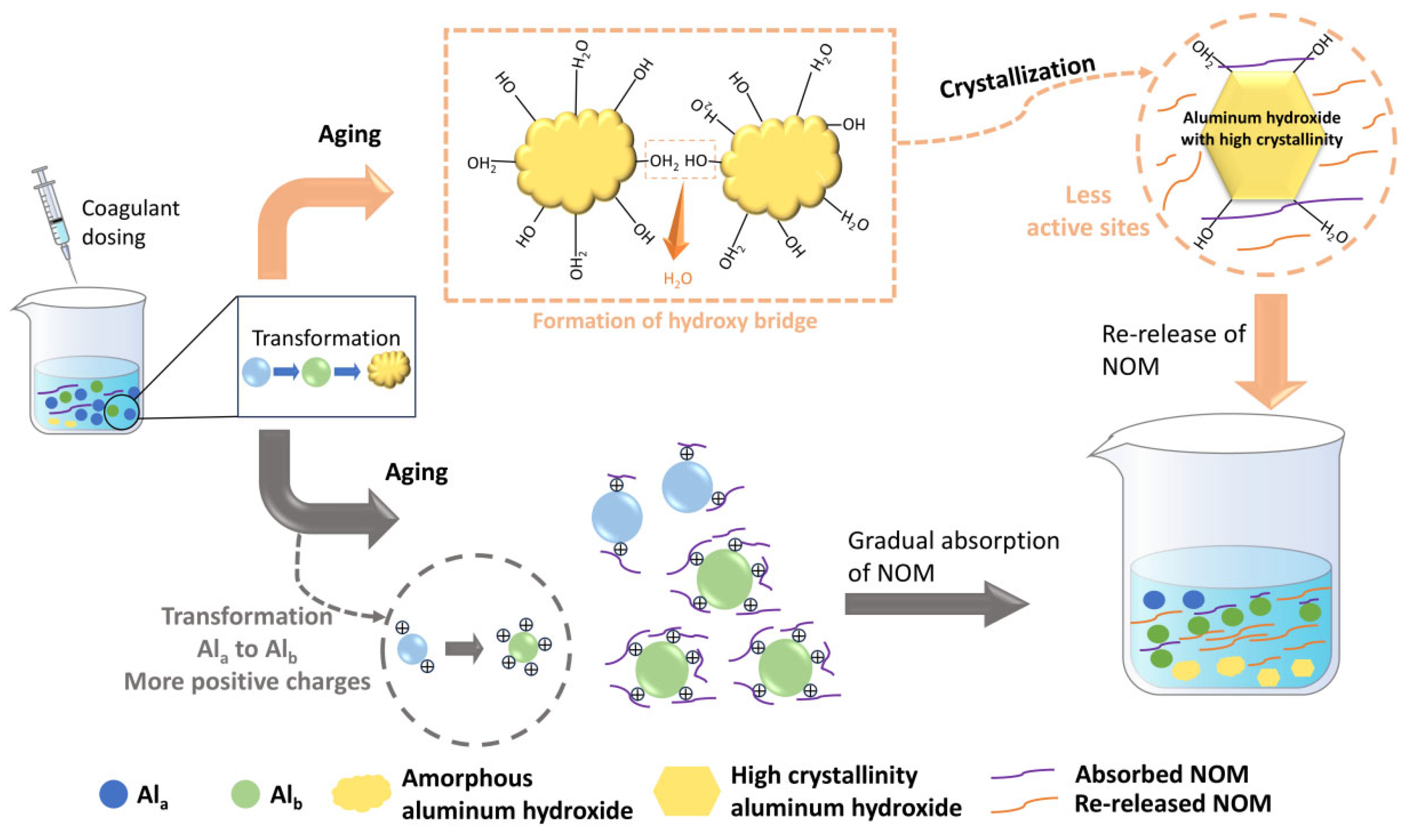 Water 17 03124 g004 Water 17 03124 g004