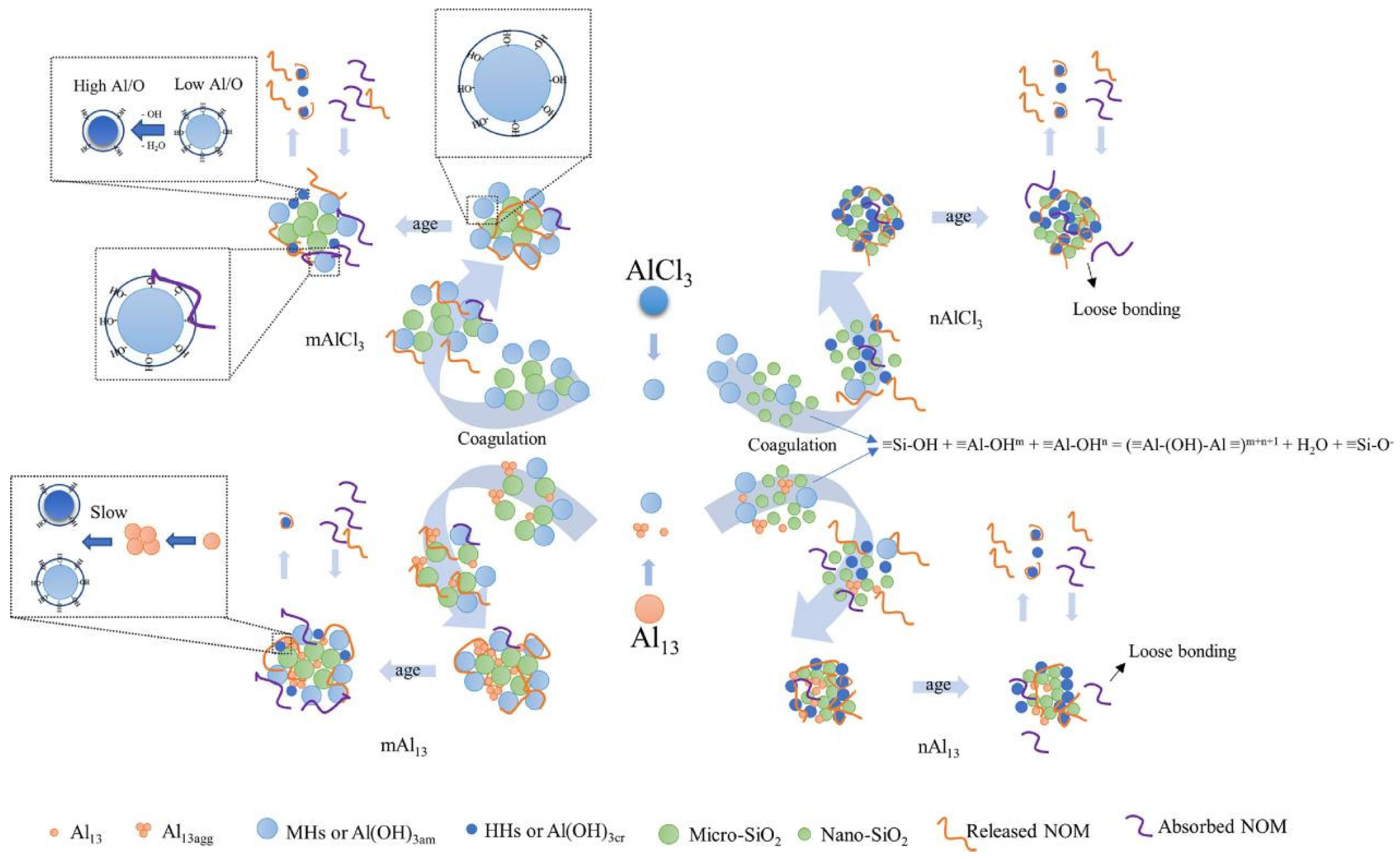 Water 17 03124 g005 Water 17 03124 g005