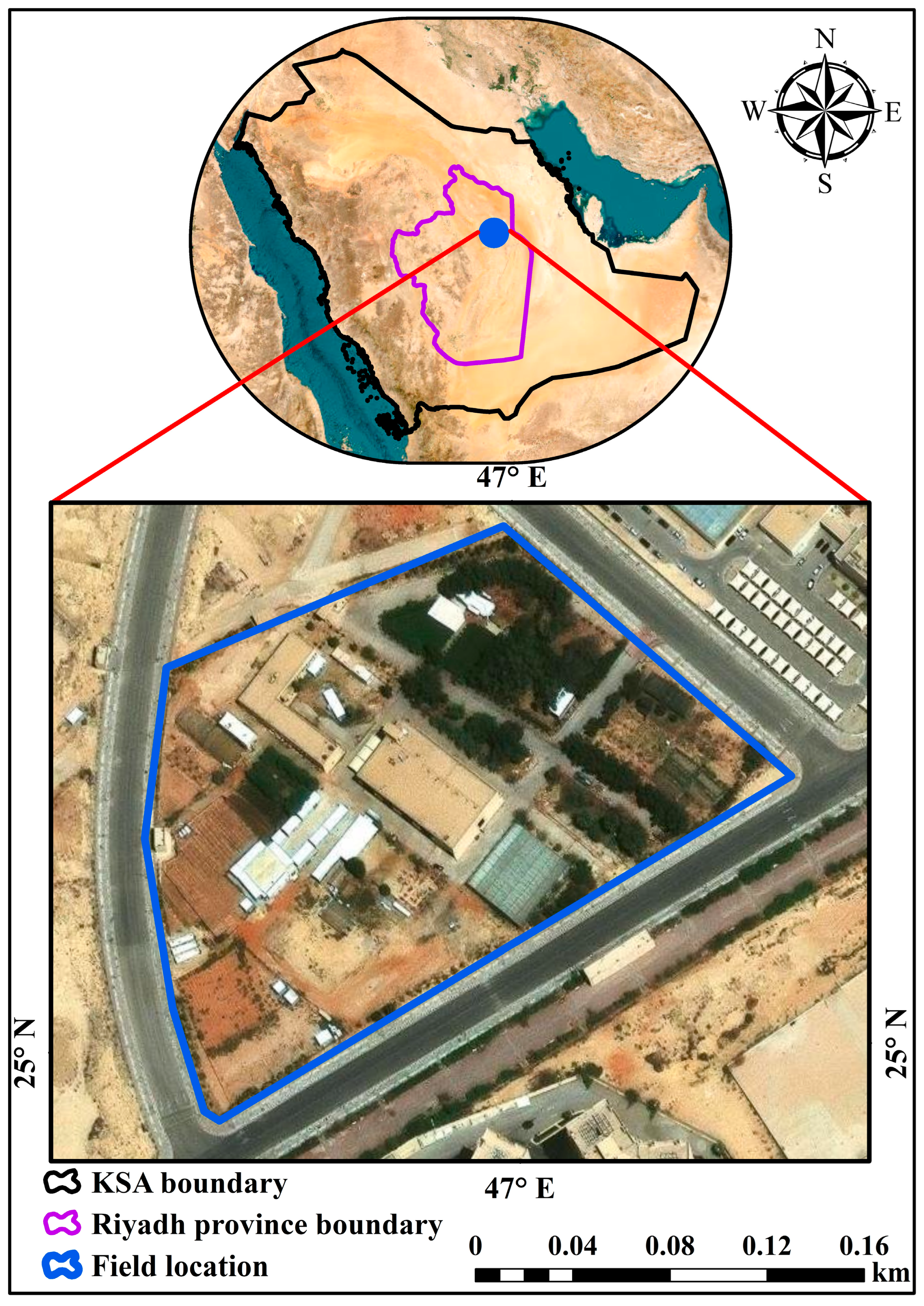 Water 17 03143 g001 Water 17 03143 g001