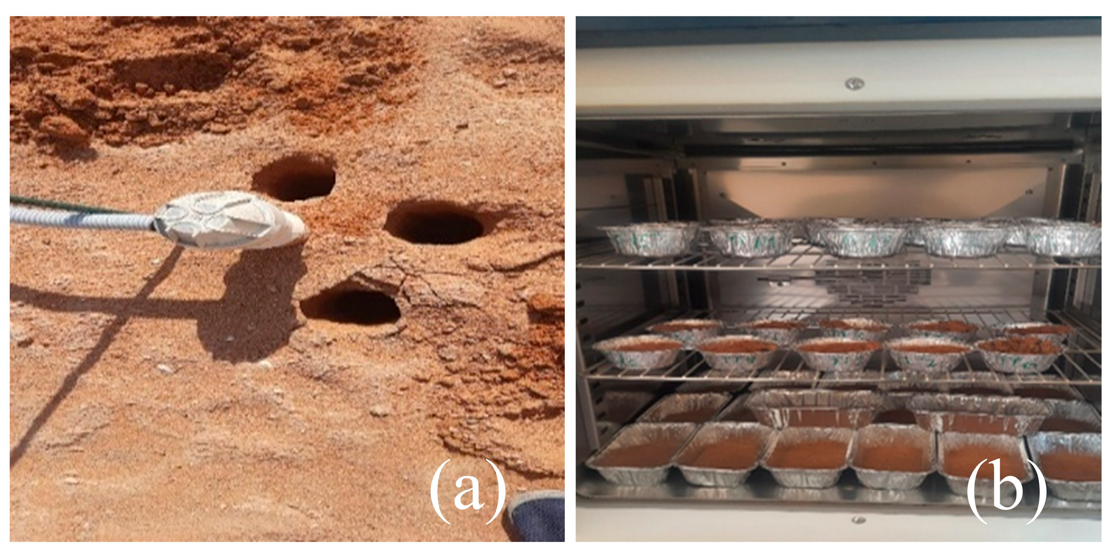 Water 17 03143 g006 Water 17 03143 g006