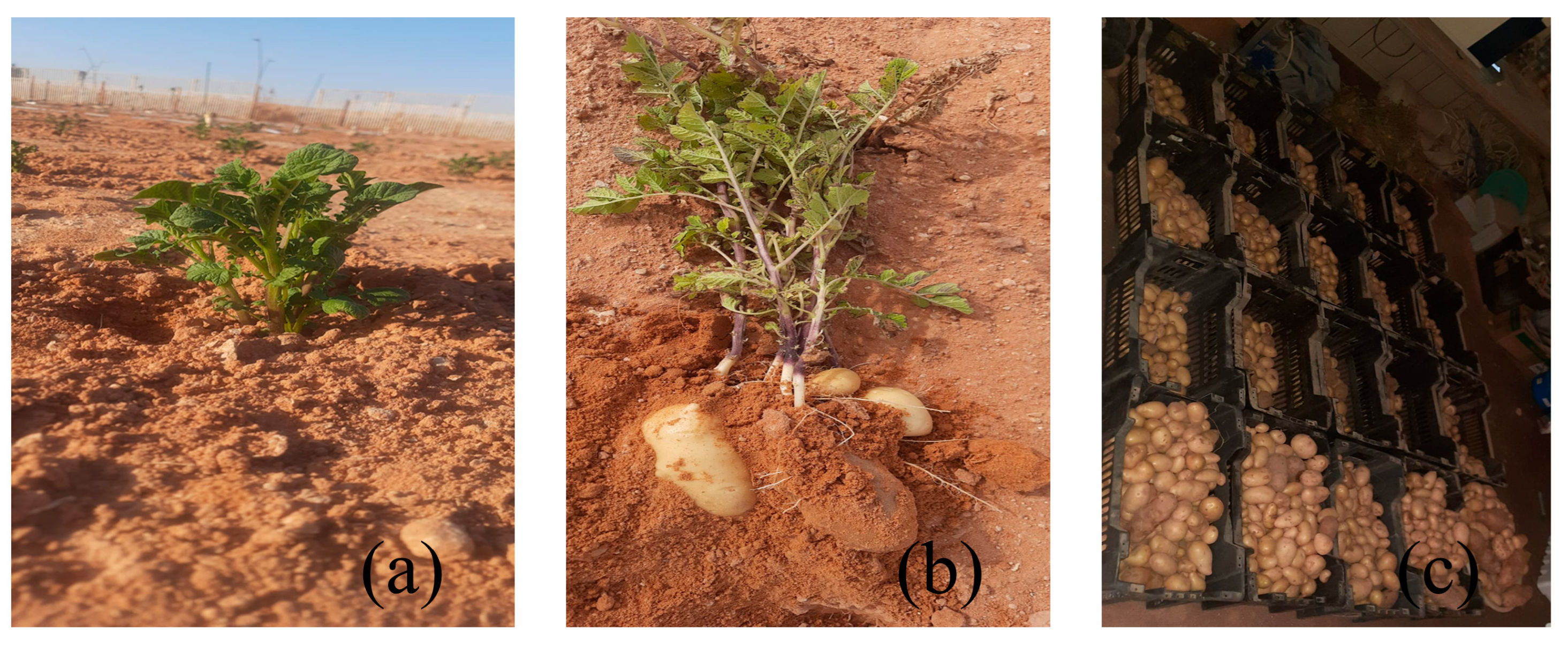 Water 17 03143 g018 Water 17 03143 g018