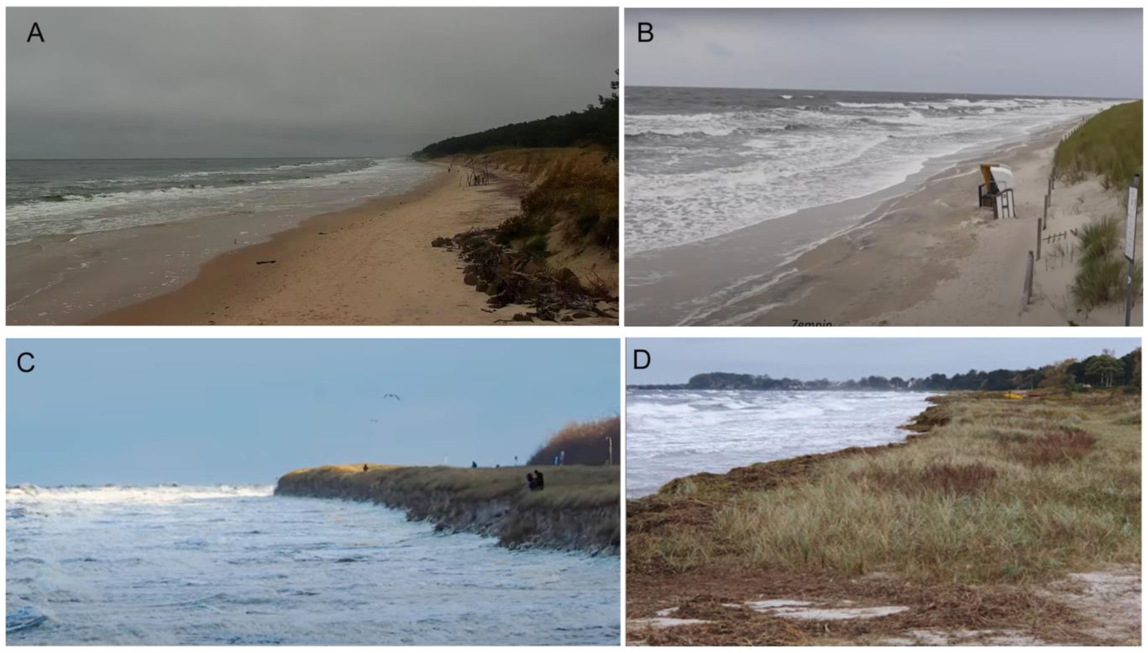 Water 17 03155 g006 Water 17 03155 g006