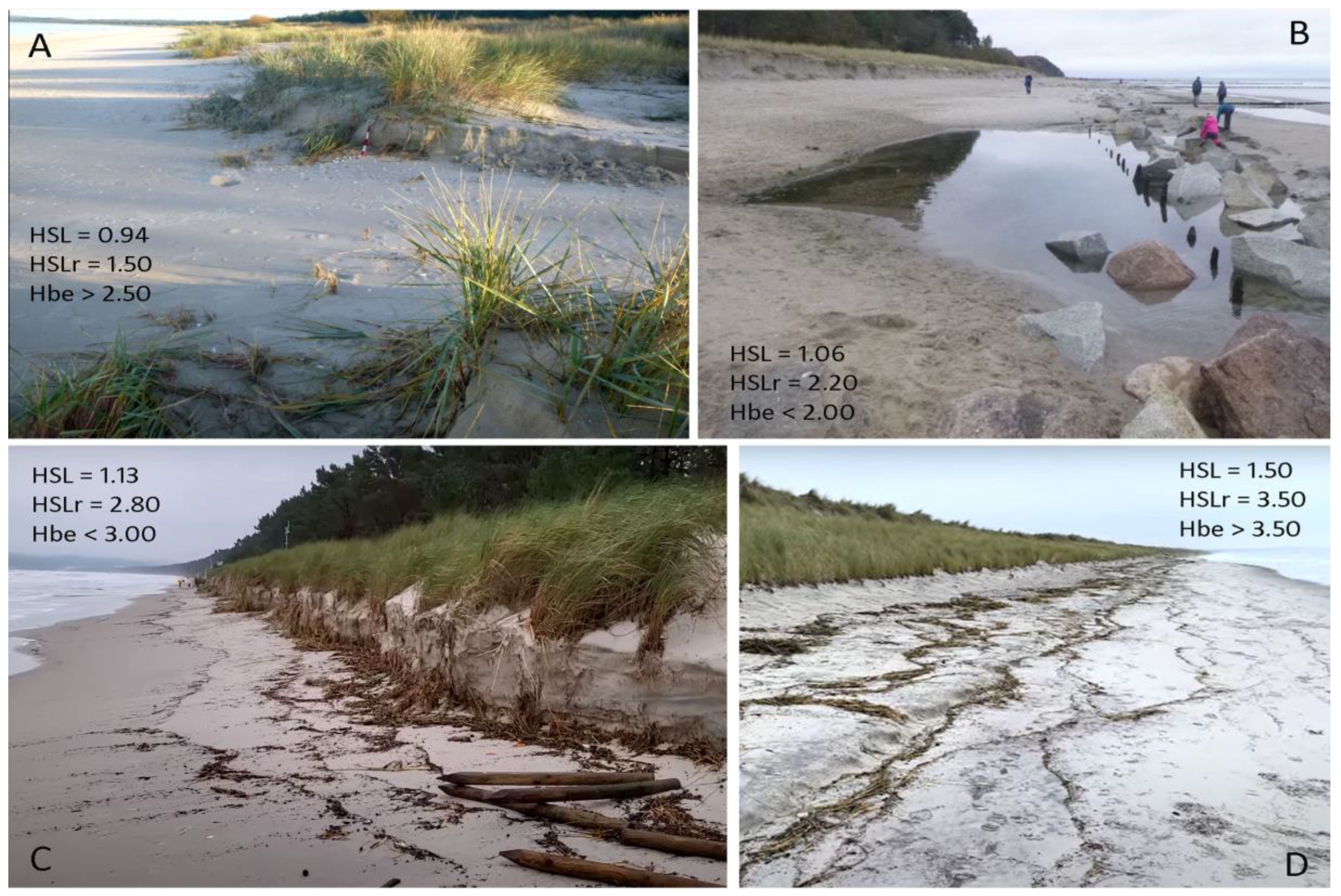 Water 17 03155 g007 Water 17 03155 g007