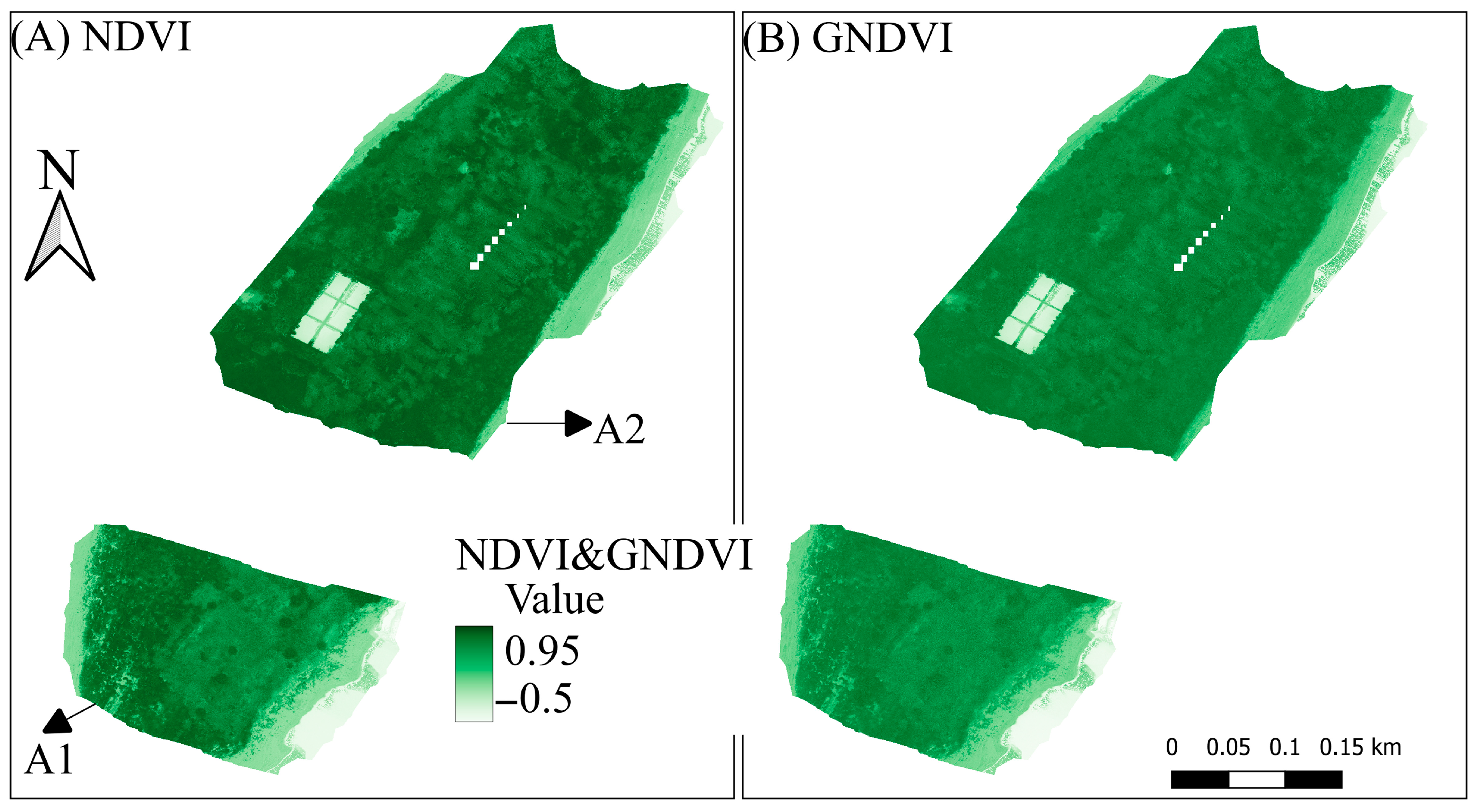 Water 17 03160 g005 Water 17 03160 g005