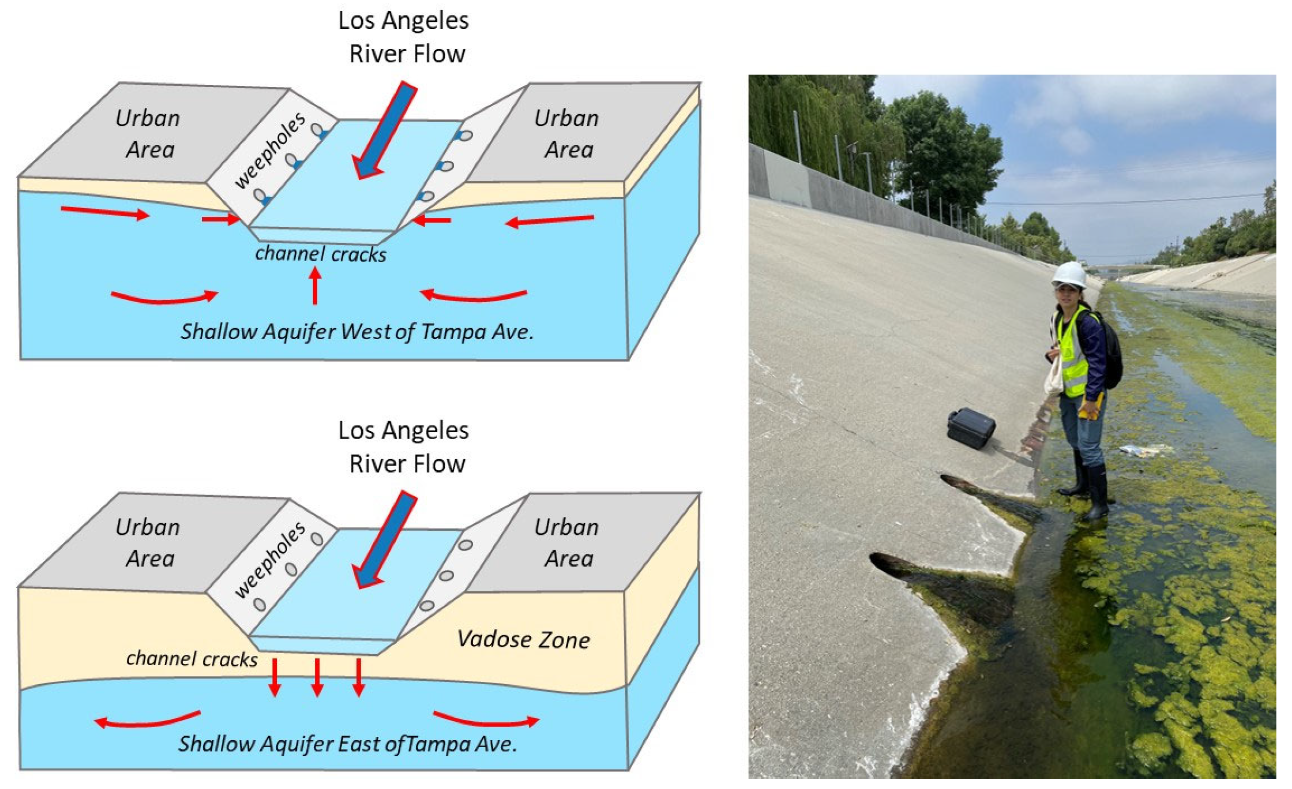 Water 17 03164 g016 Water 17 03164 g016