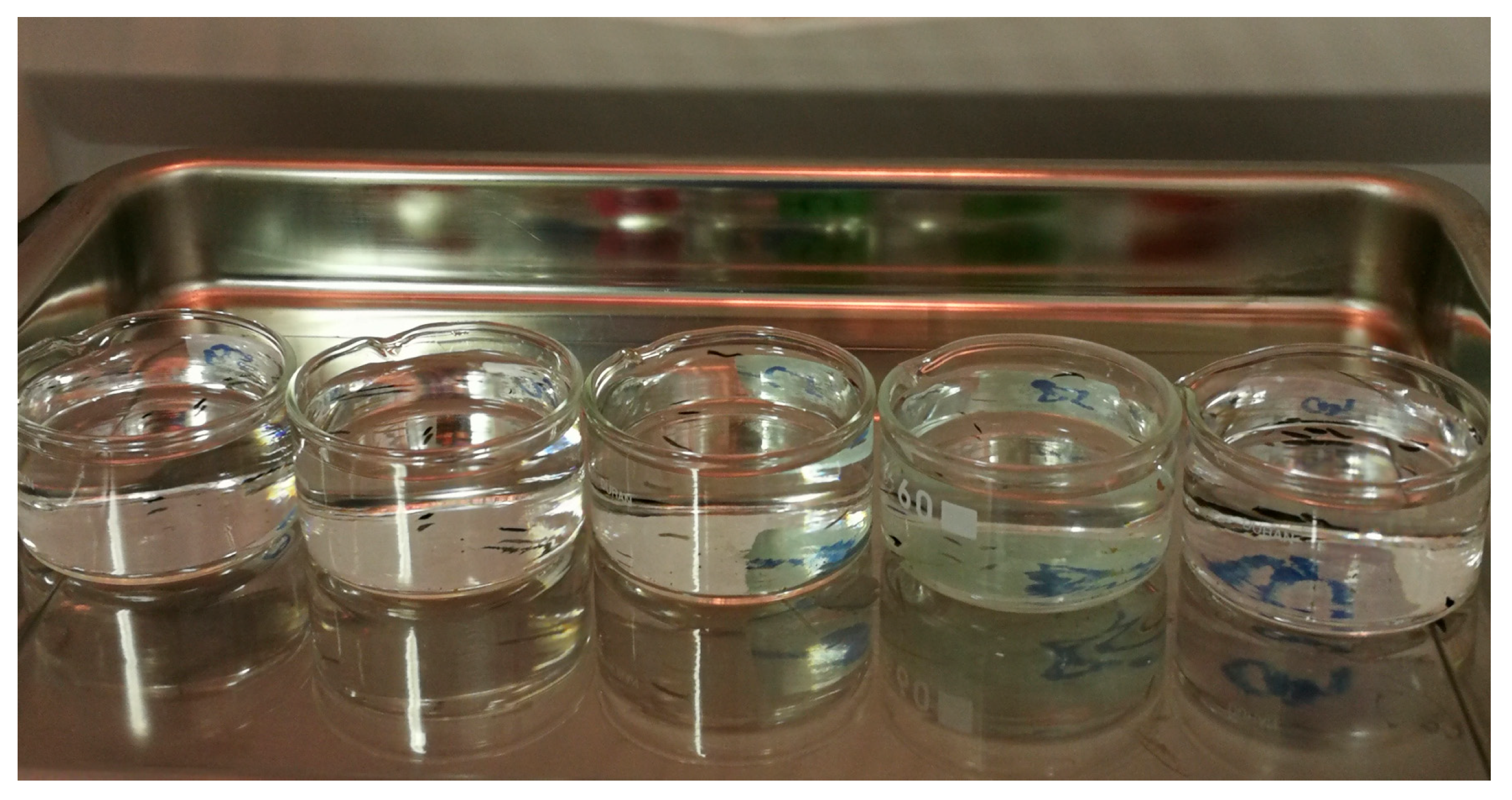 Water 17 03166 g001 Water 17 03166 g001