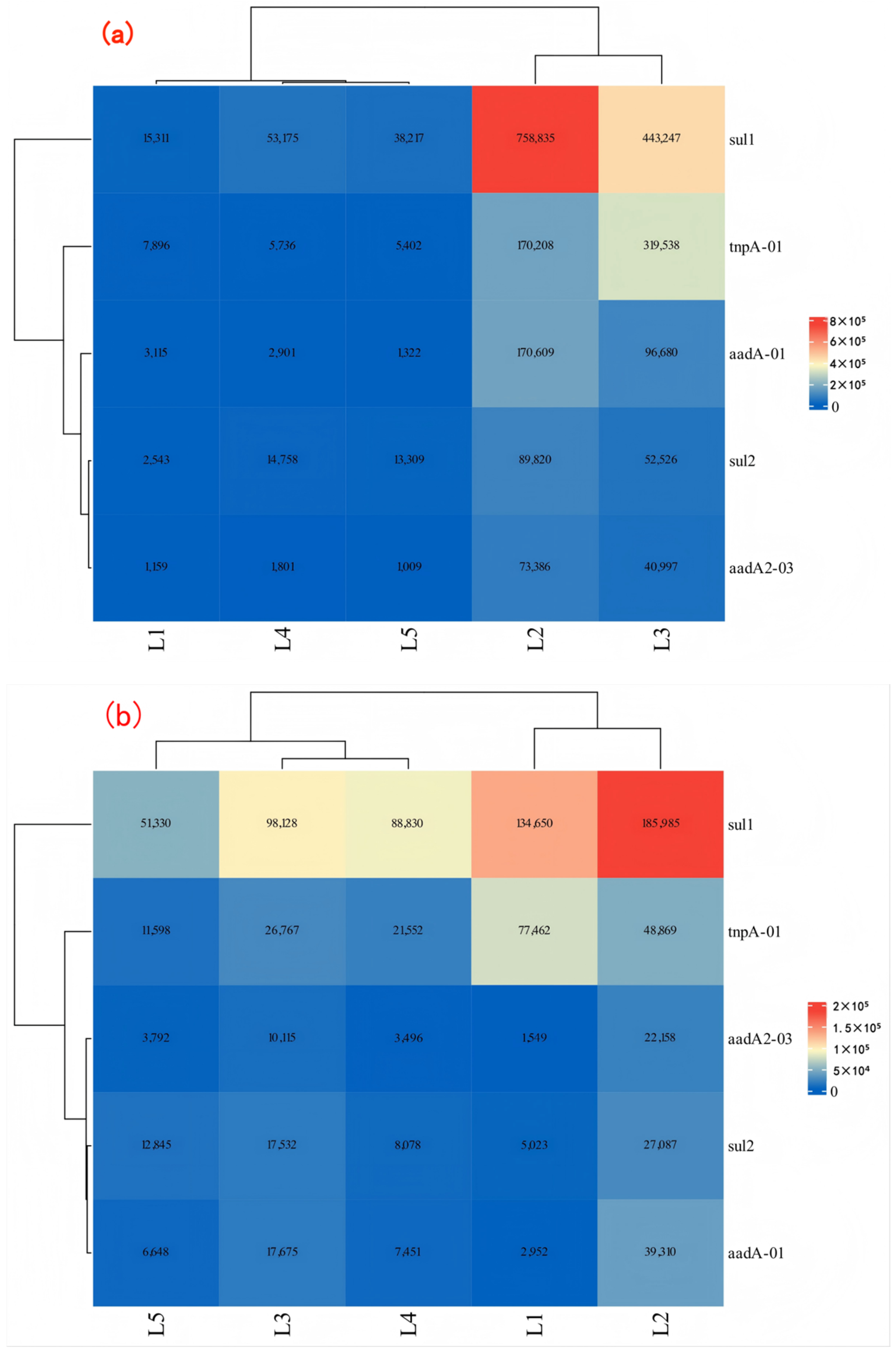Water 17 03168 g007a Water 17 03168 g007a