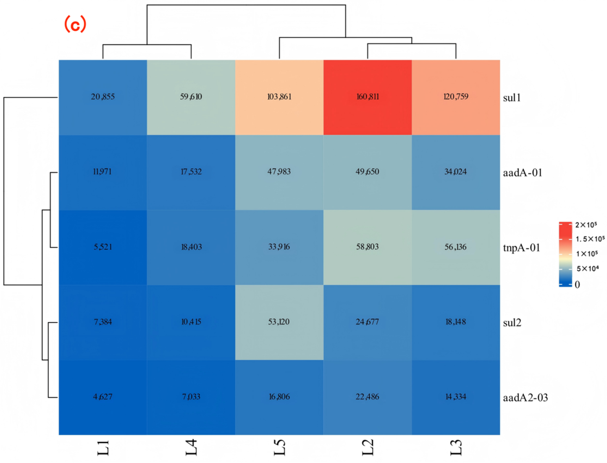 Water 17 03168 g007b Water 17 03168 g007b