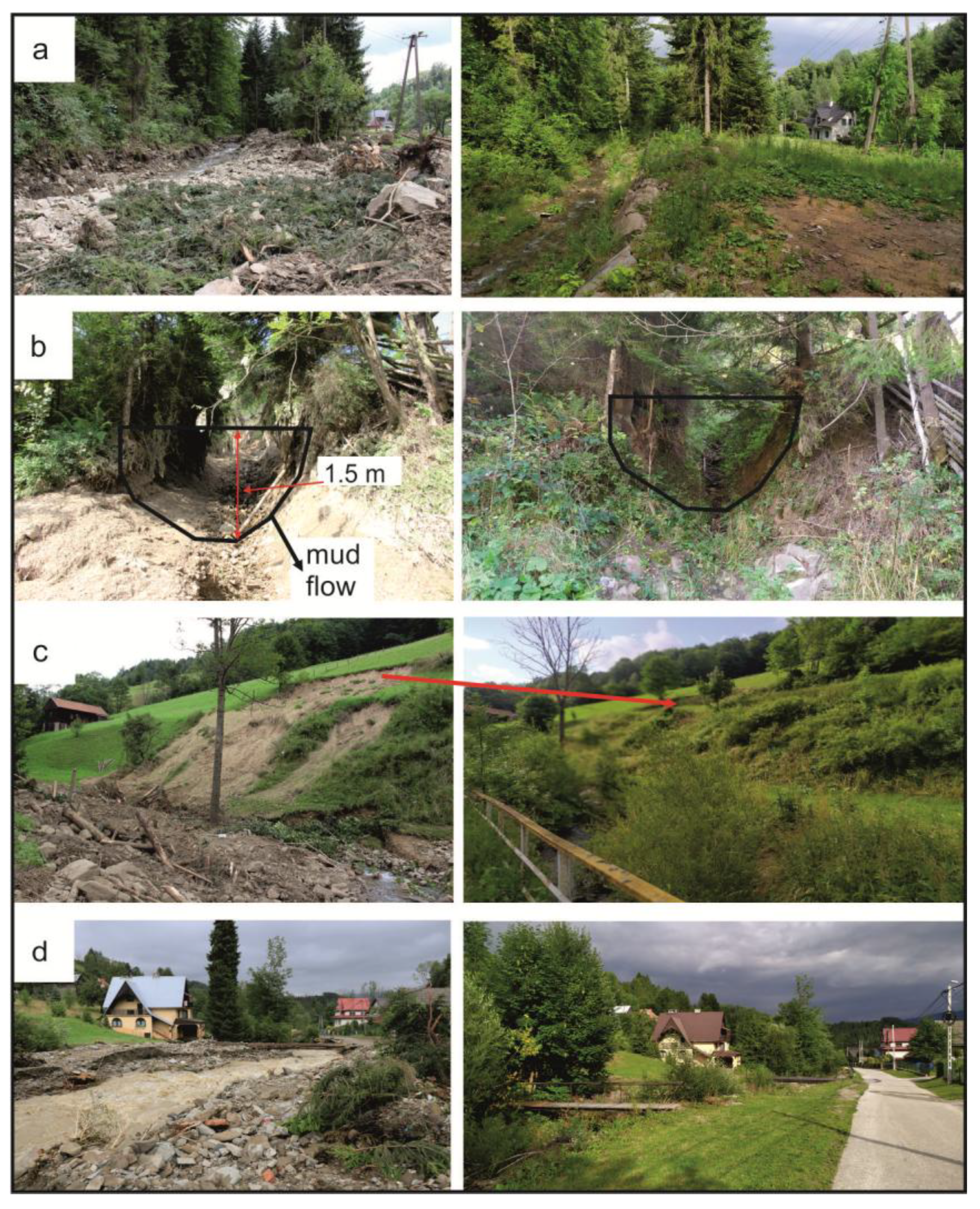 Water 17 03244 g006 Water 17 03244 g006