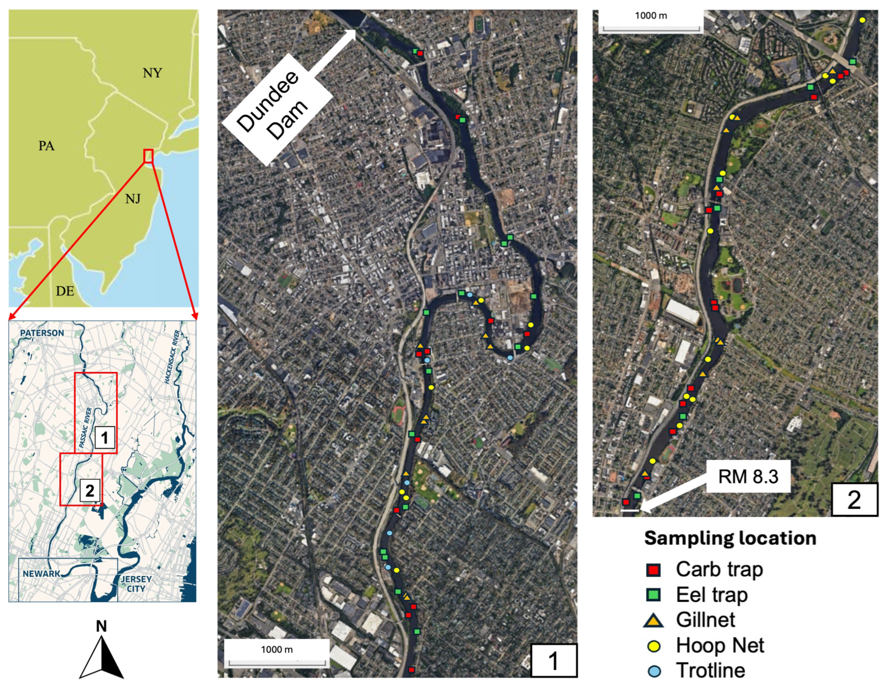 Water 17 03254 g001 Water 17 03254 g001