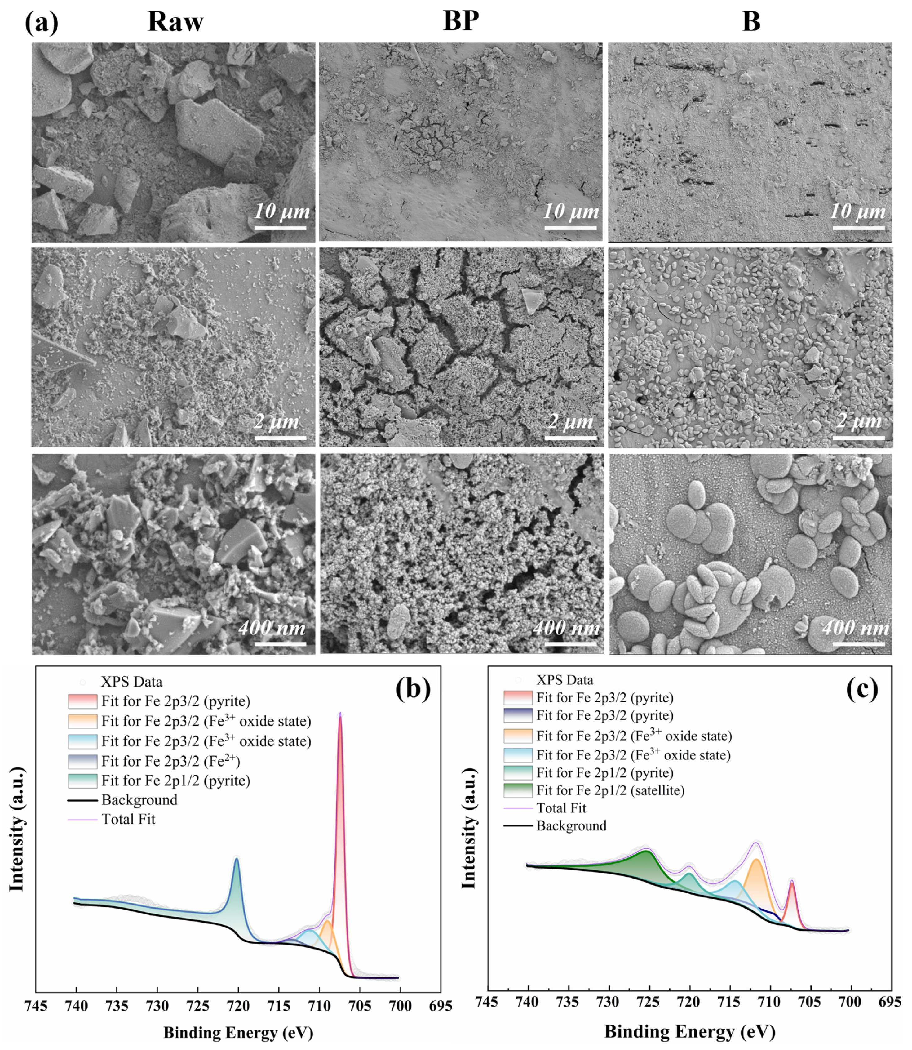 Water 17 03263 g006 Water 17 03263 g006