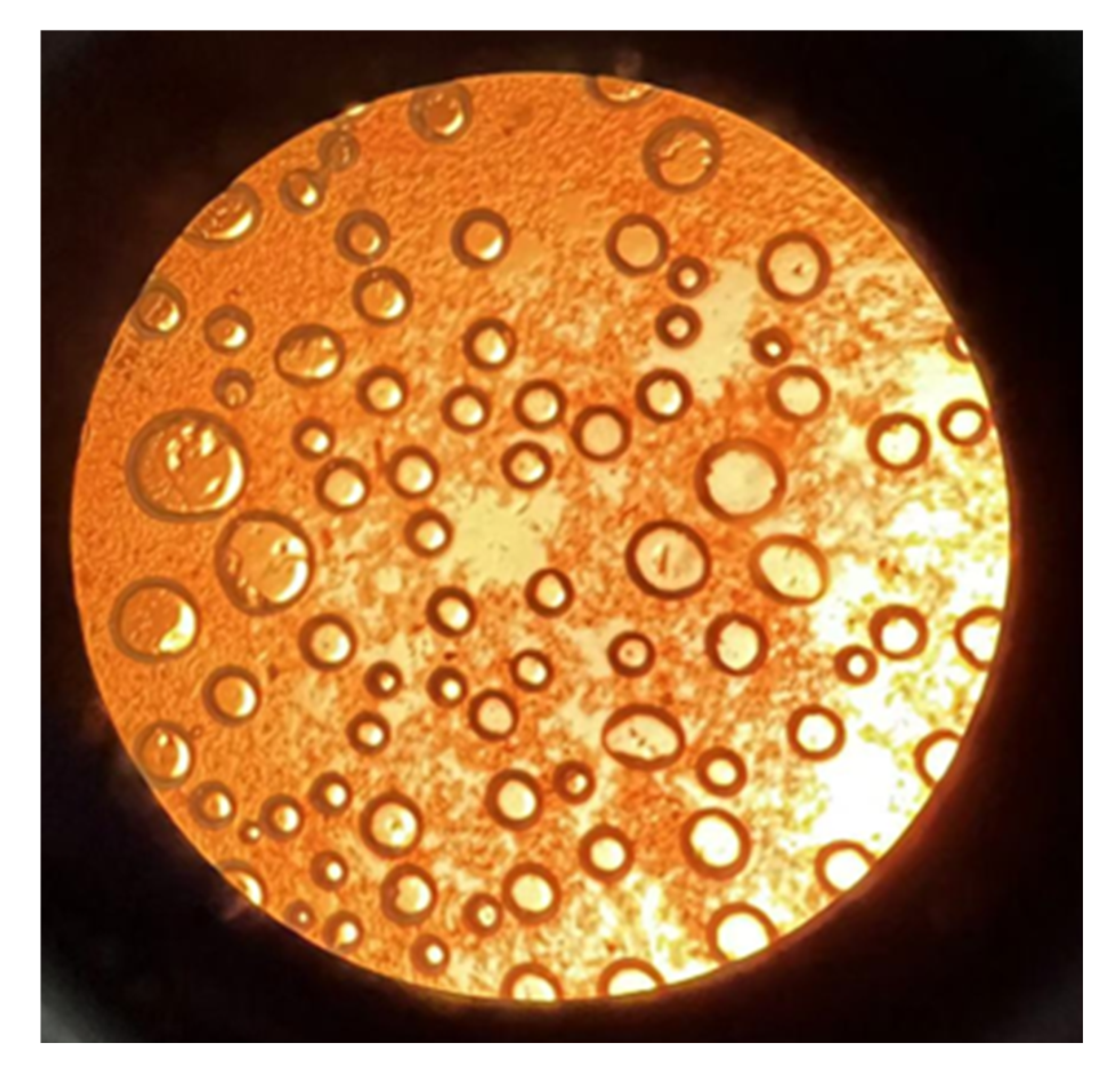 Water 17 03284 g005 Water 17 03284 g005