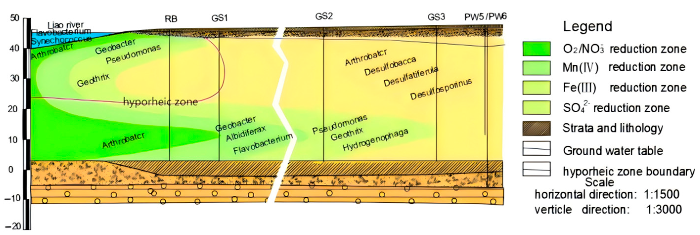 Water 17 03408 g004 Water 17 03408 g004