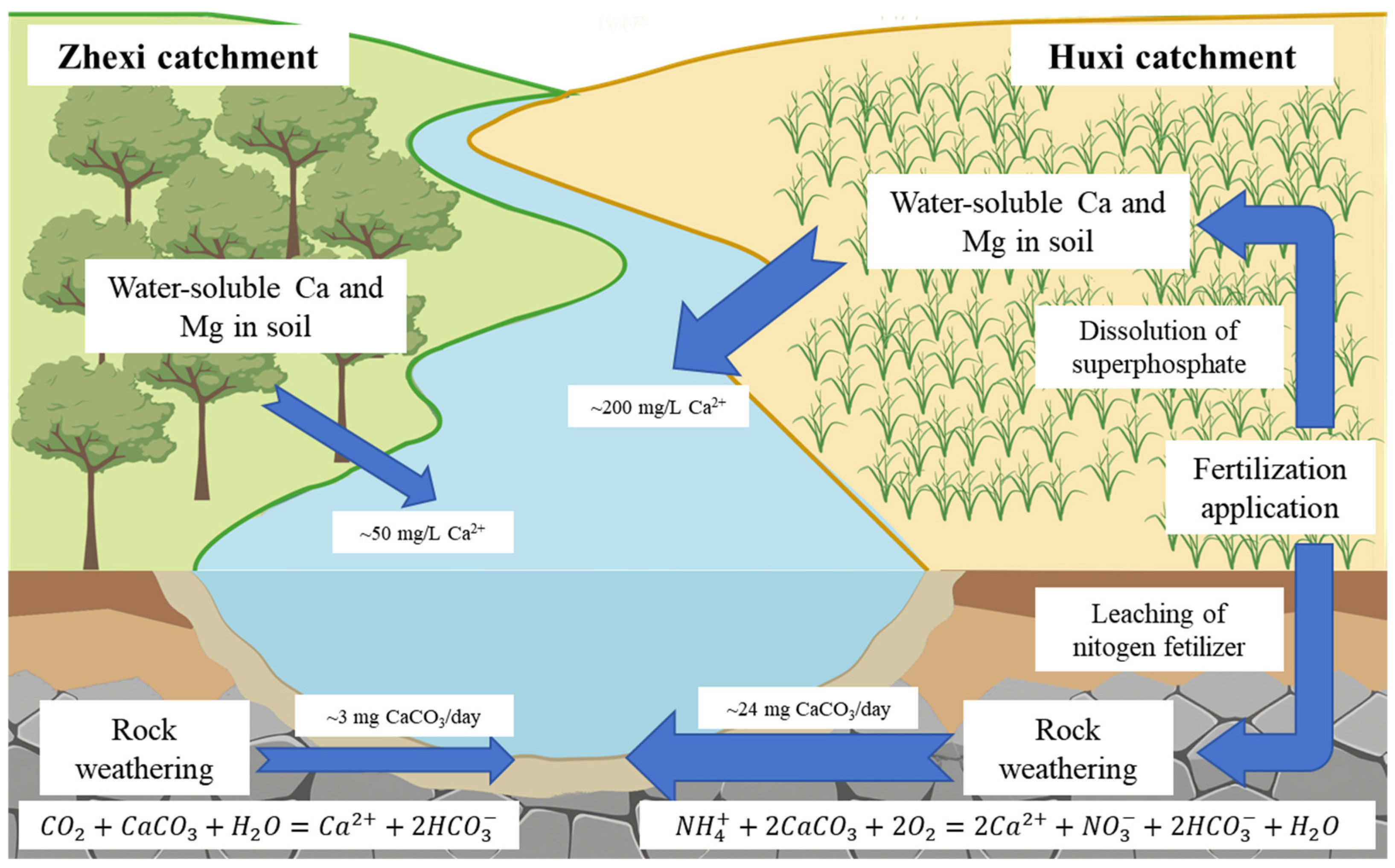 Water 17 03415 g009 Water 17 03415 g009