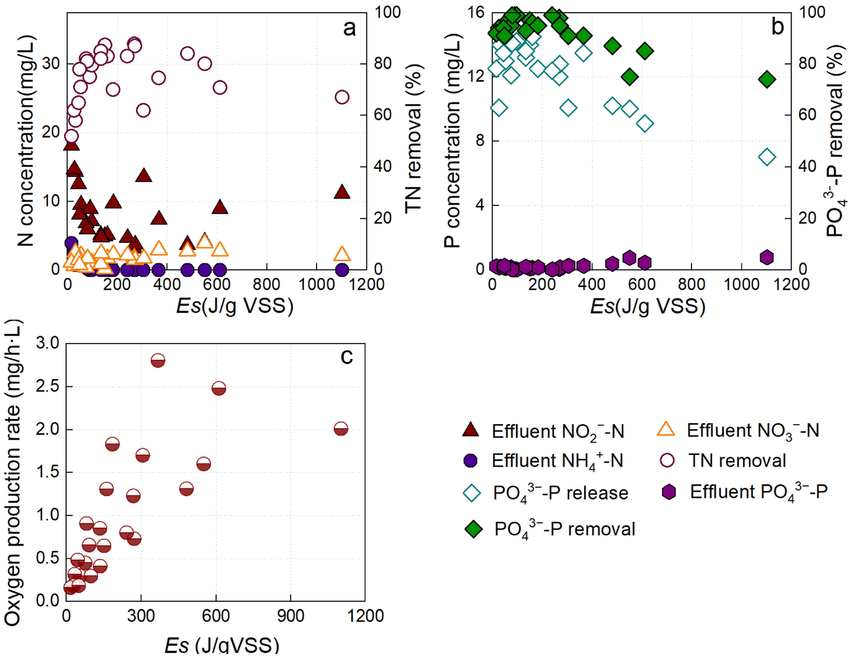 Water 17 03426 g001 Water 17 03426 g001