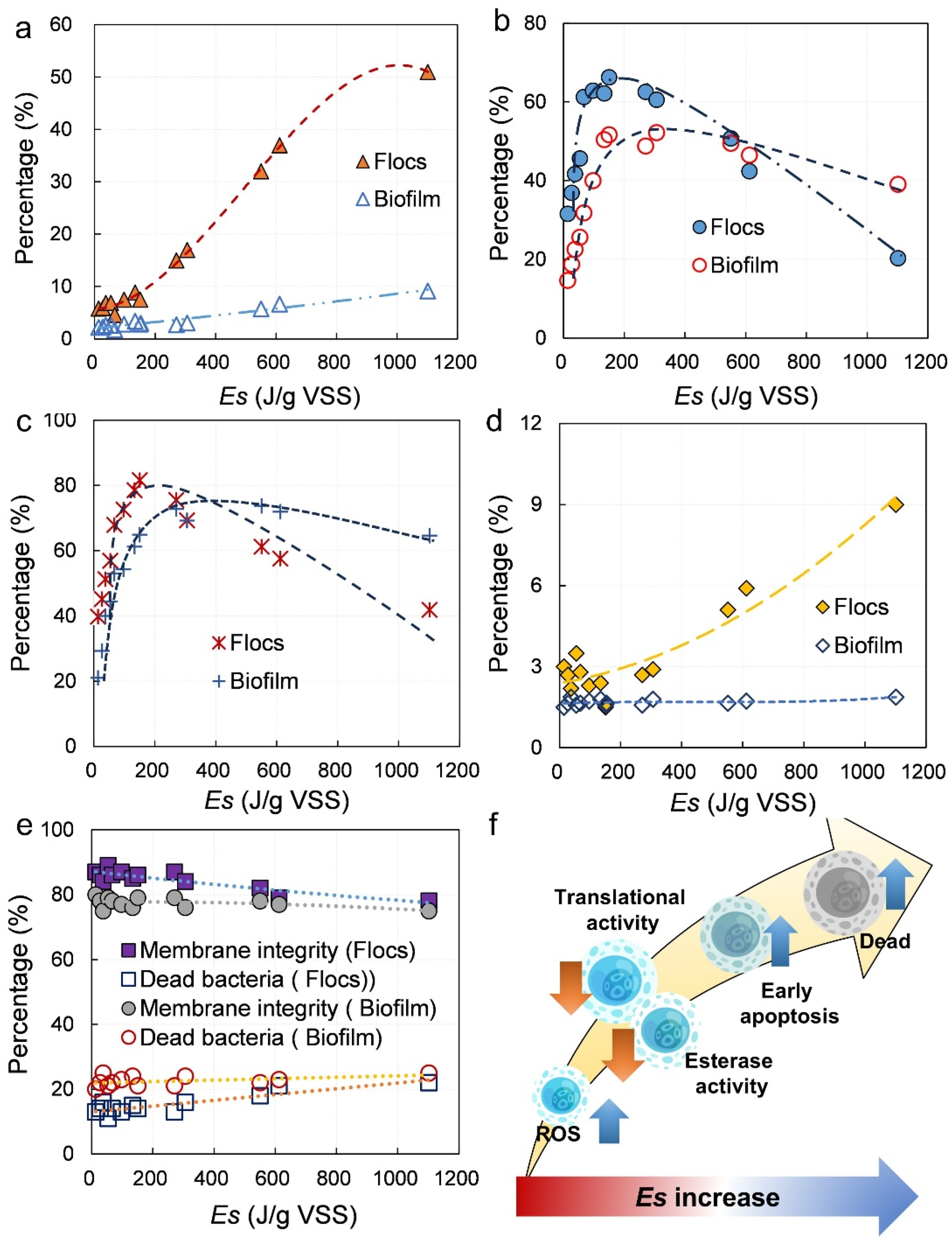 Water 17 03426 g004 Water 17 03426 g004