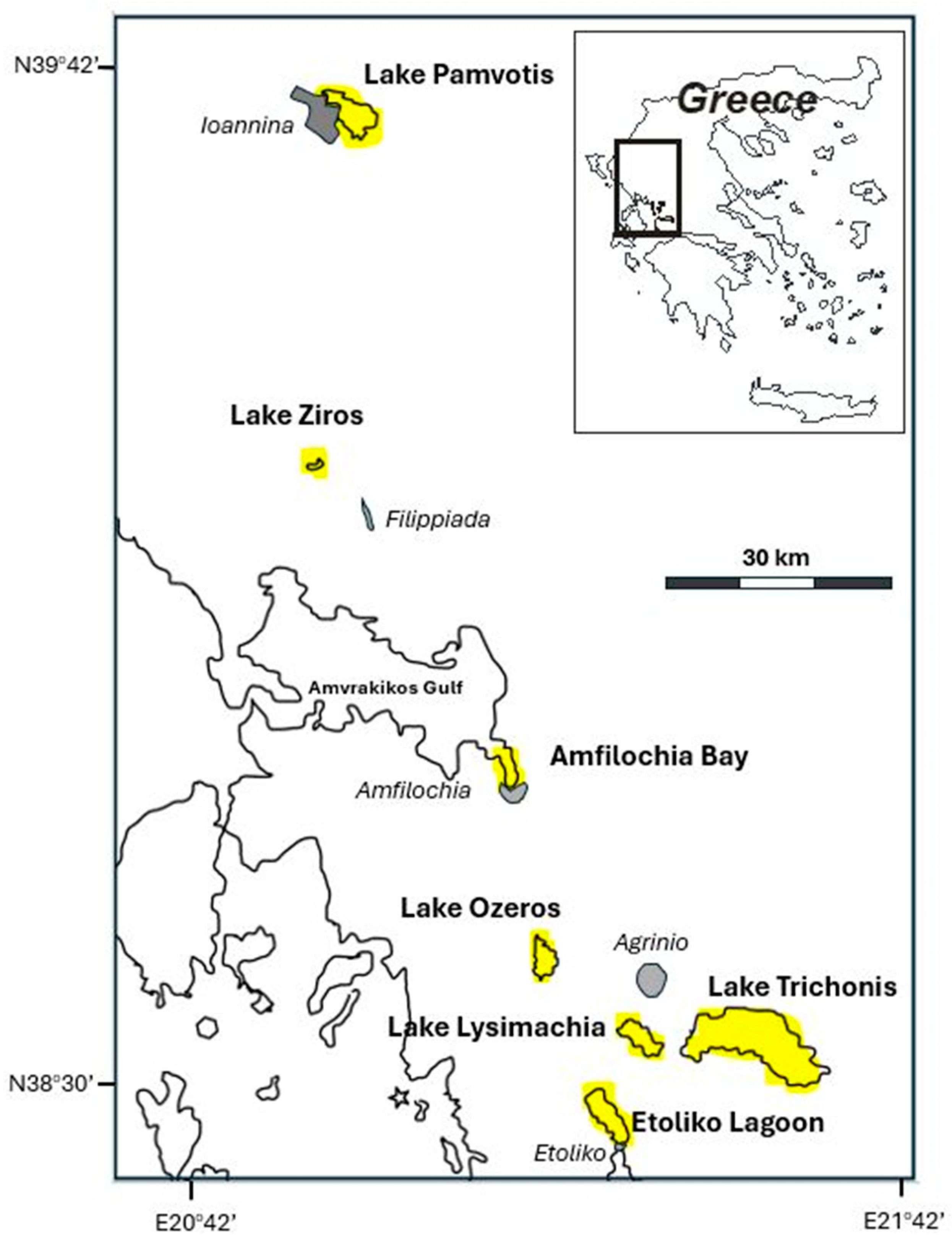 Water 17 03432 g001 Water 17 03432 g001