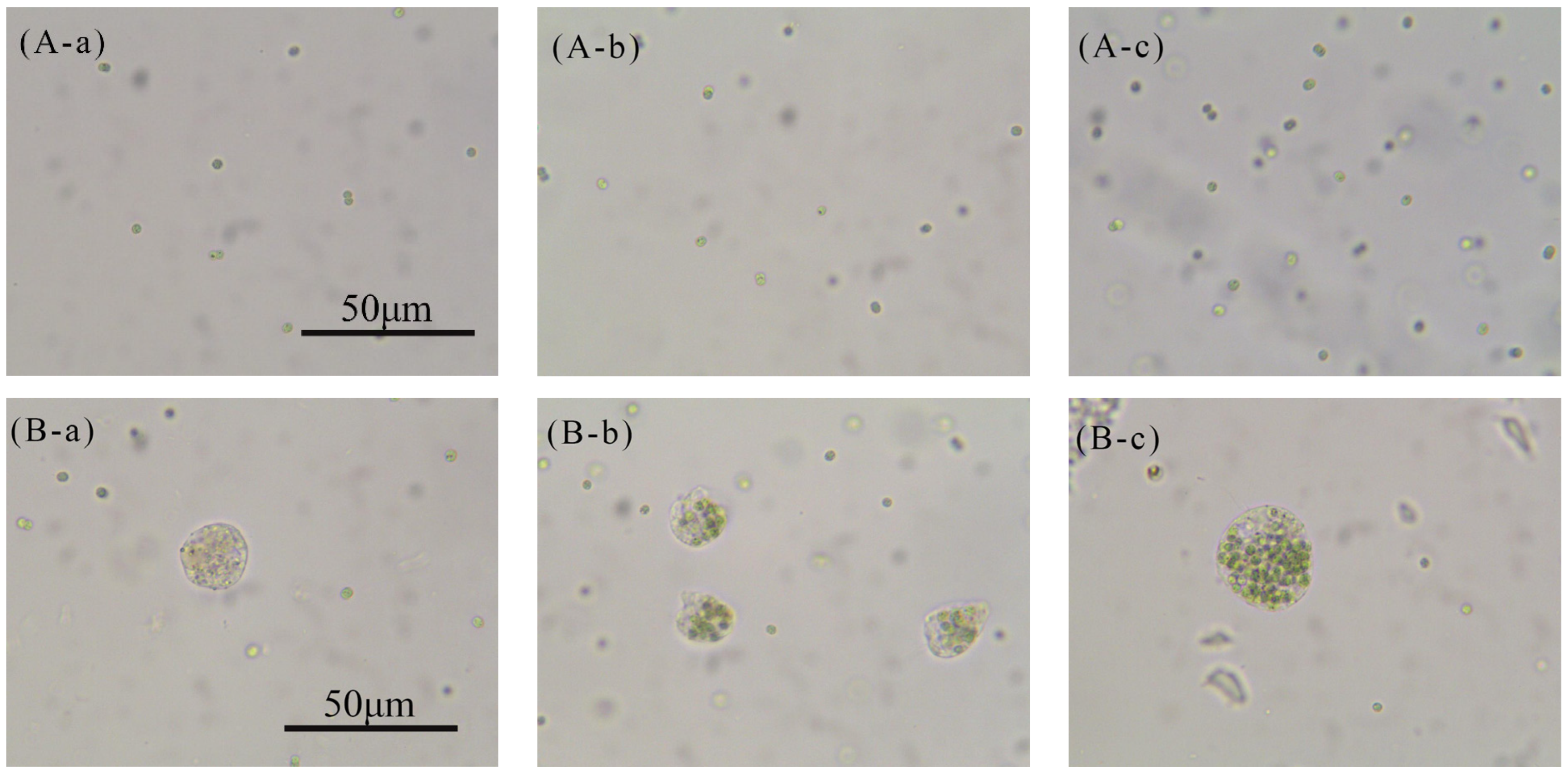 Water 17 03434 g002 Water 17 03434 g002