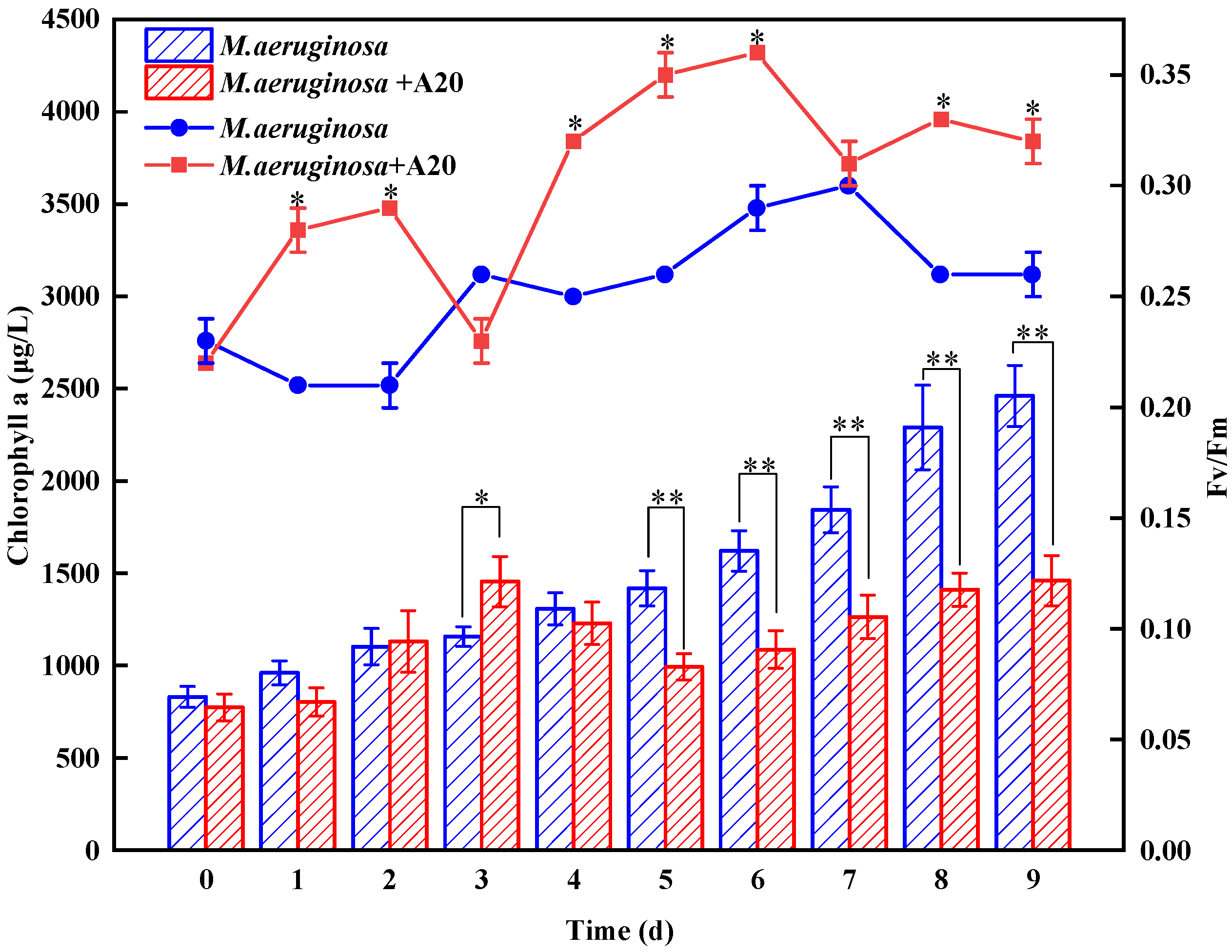Water 17 03434 g005 Water 17 03434 g005