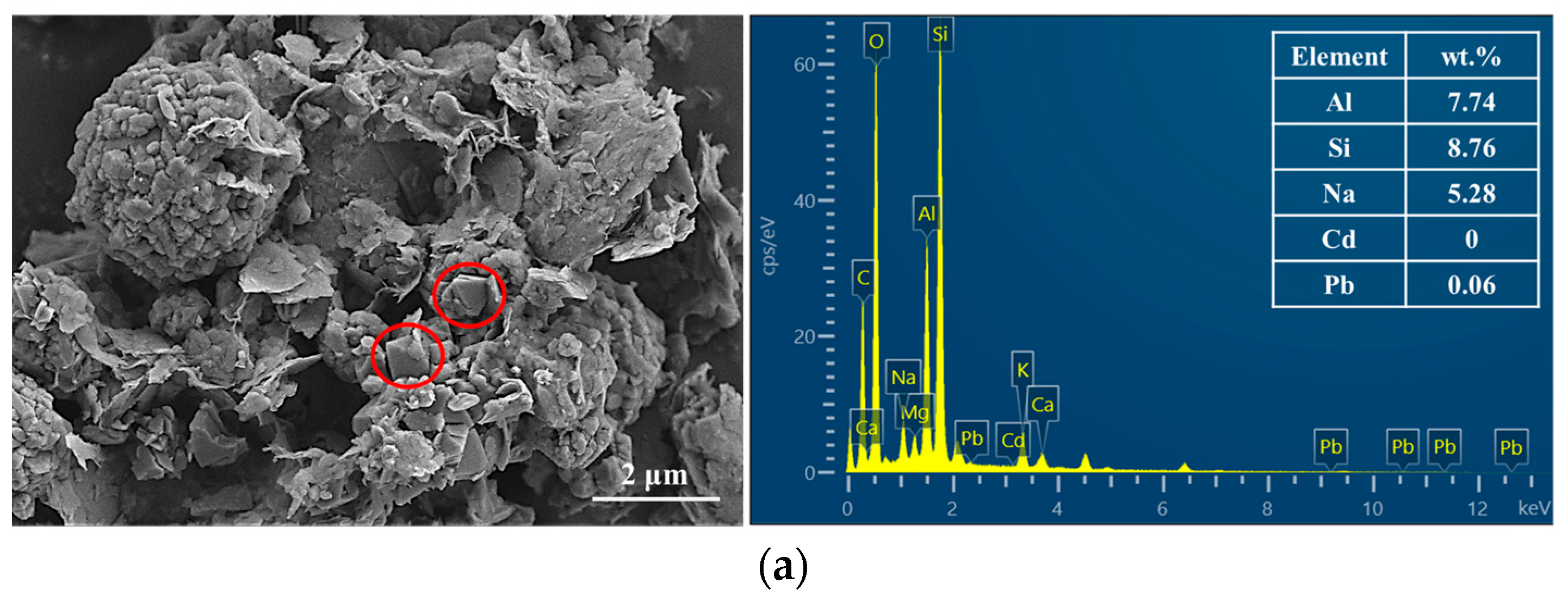 Water 17 03441 g008a