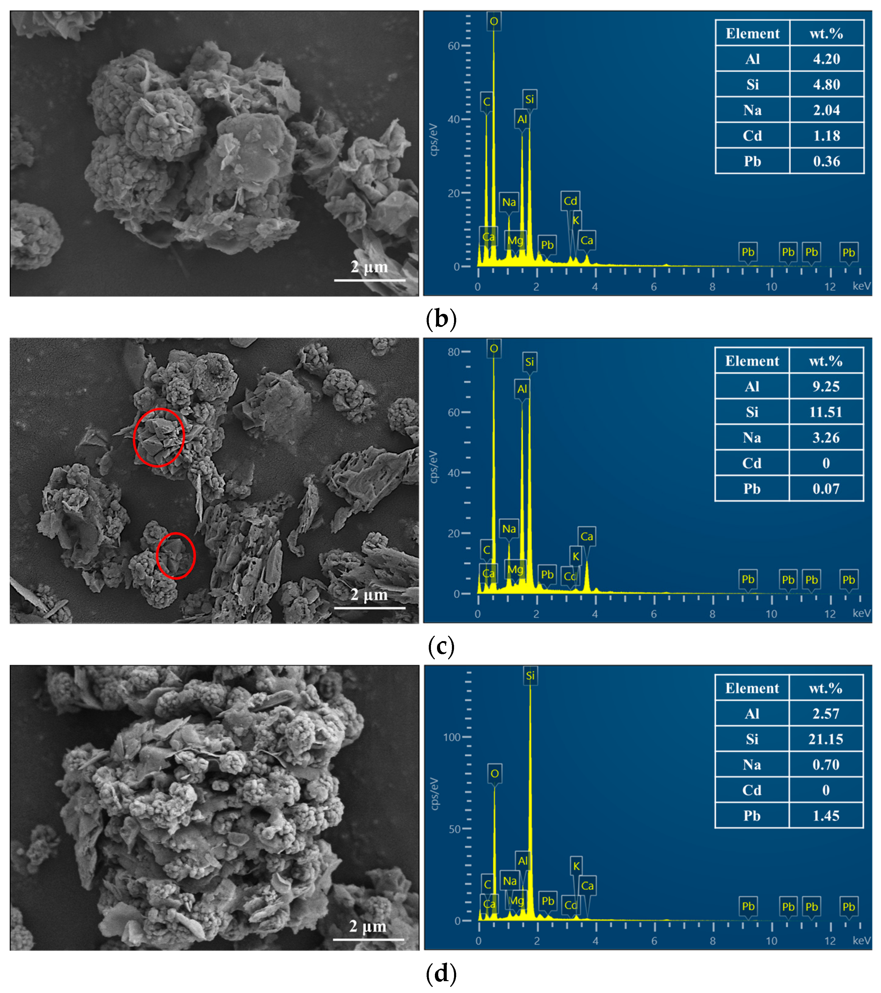 Water 17 03441 g008b