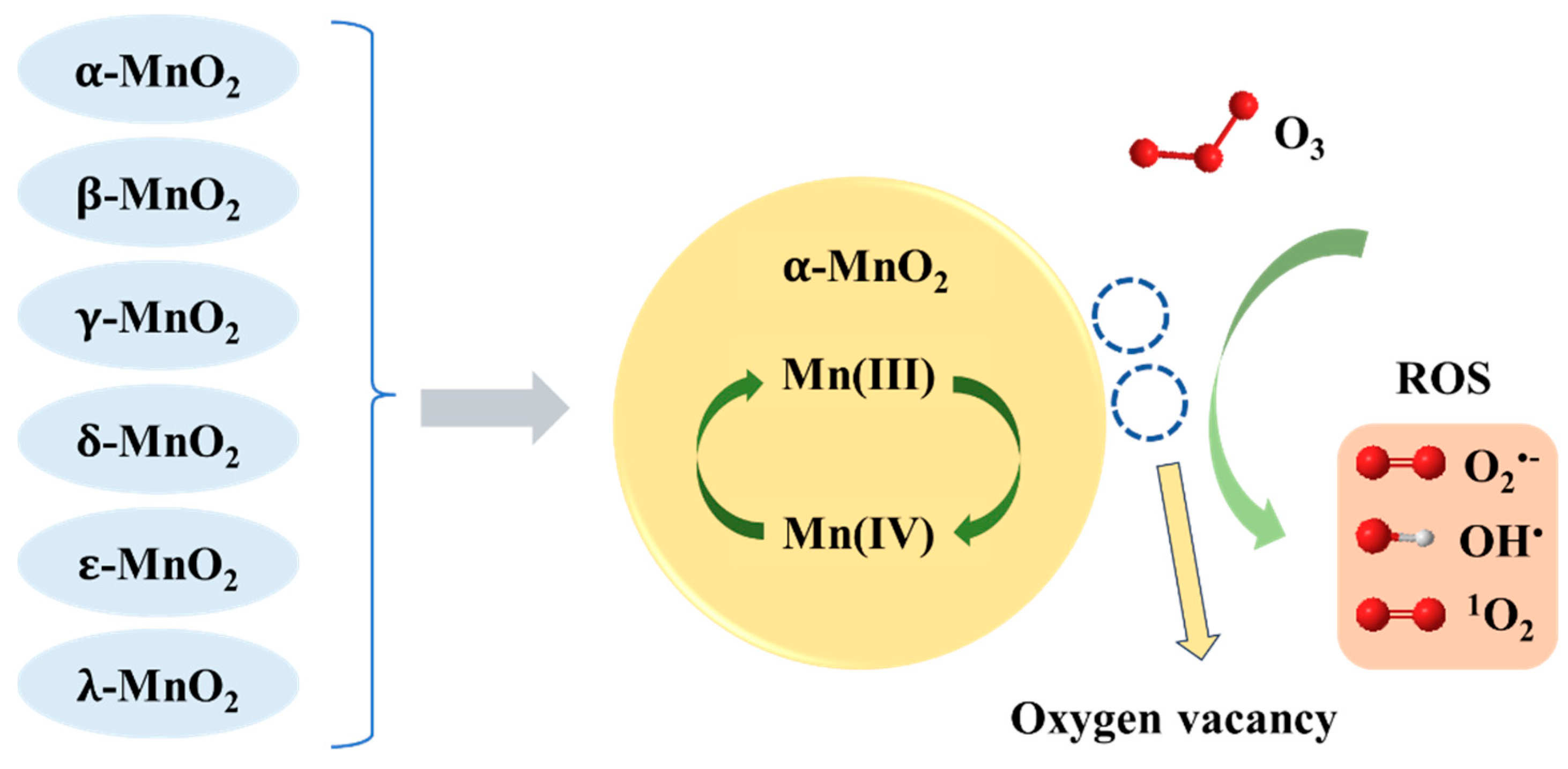 Water 17 03490 g001 Water 17 03490 g001