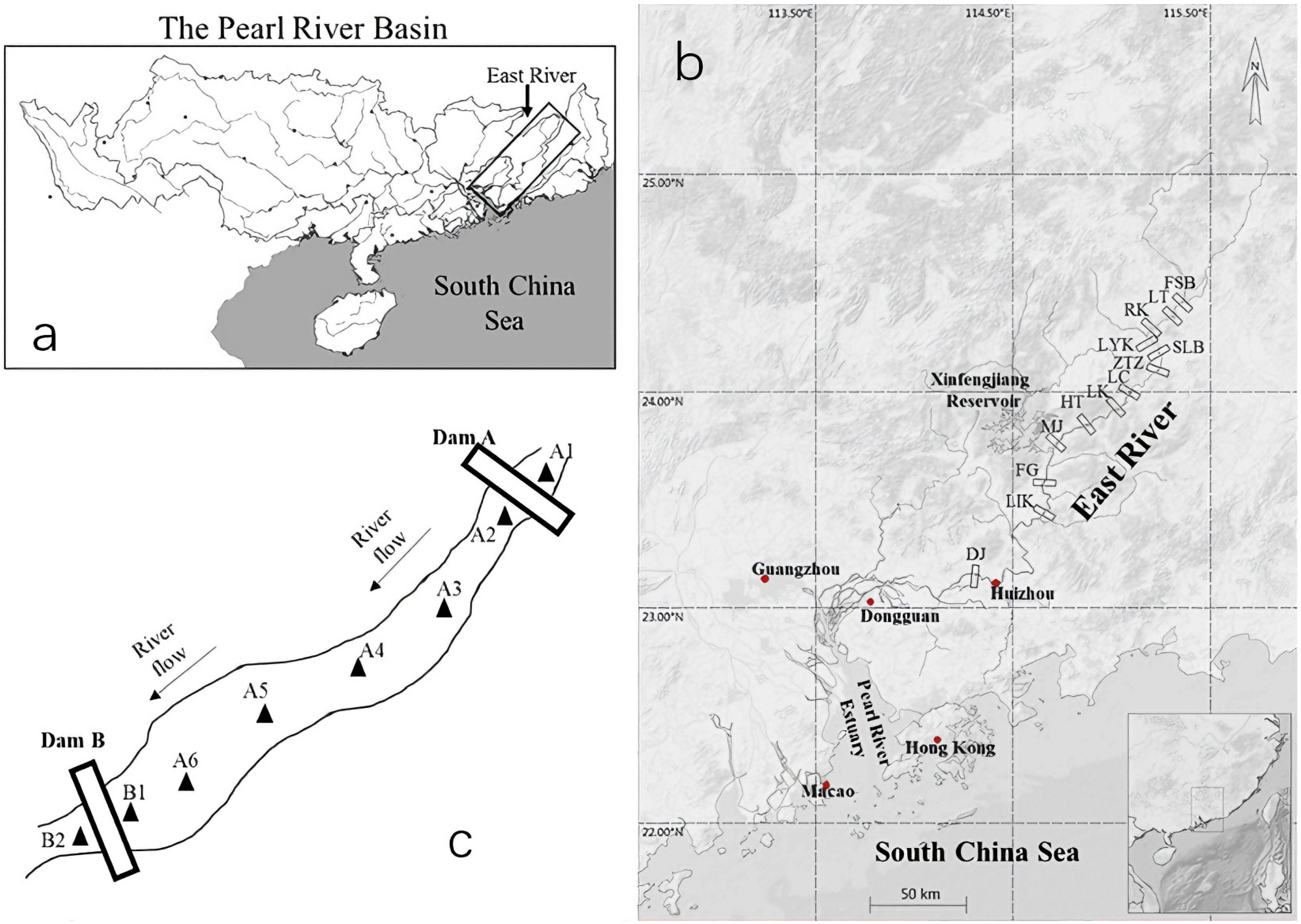 Water 17 03513 g001 Water 17 03513 g001