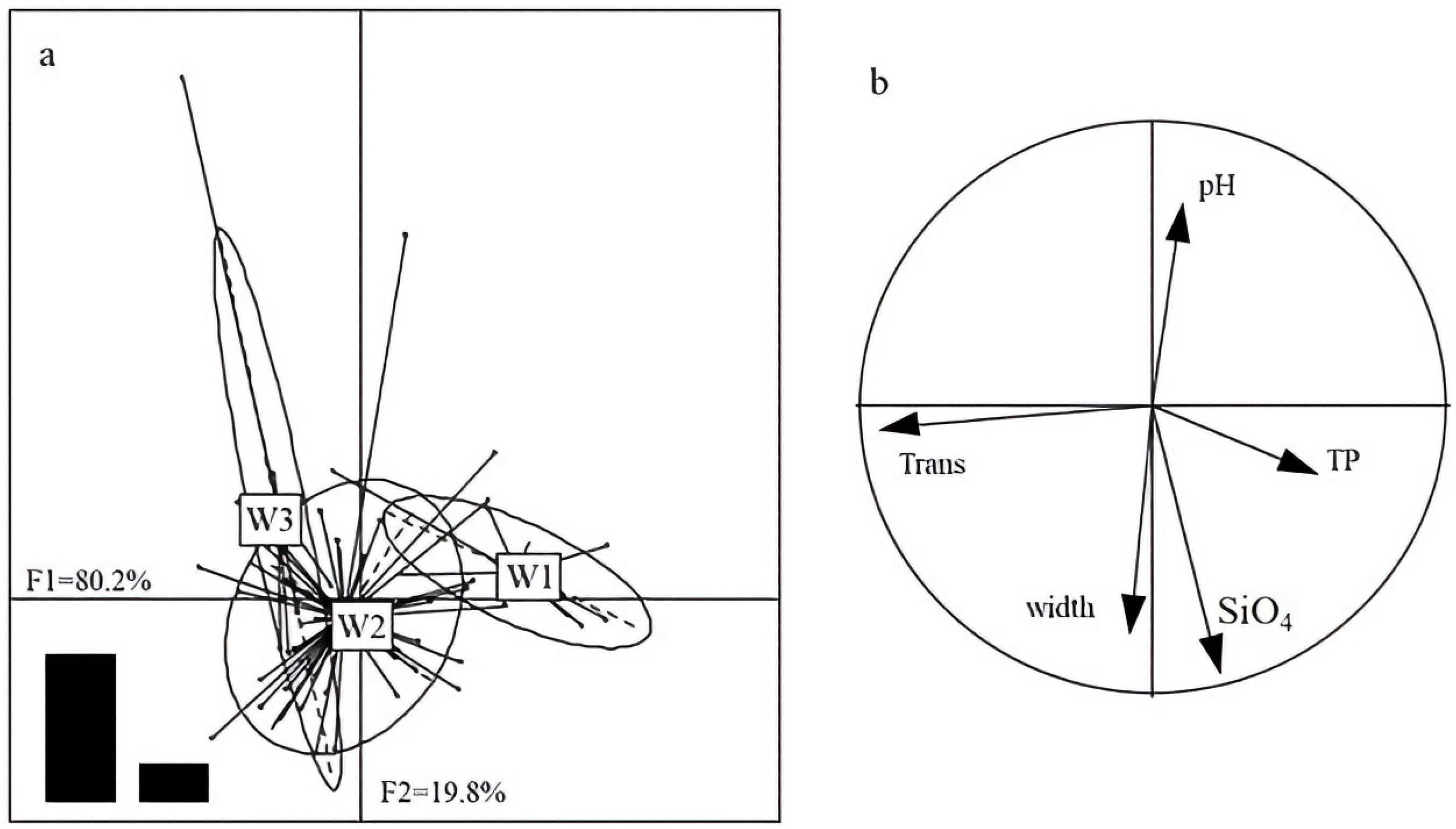Water 17 03513 g011 Water 17 03513 g011